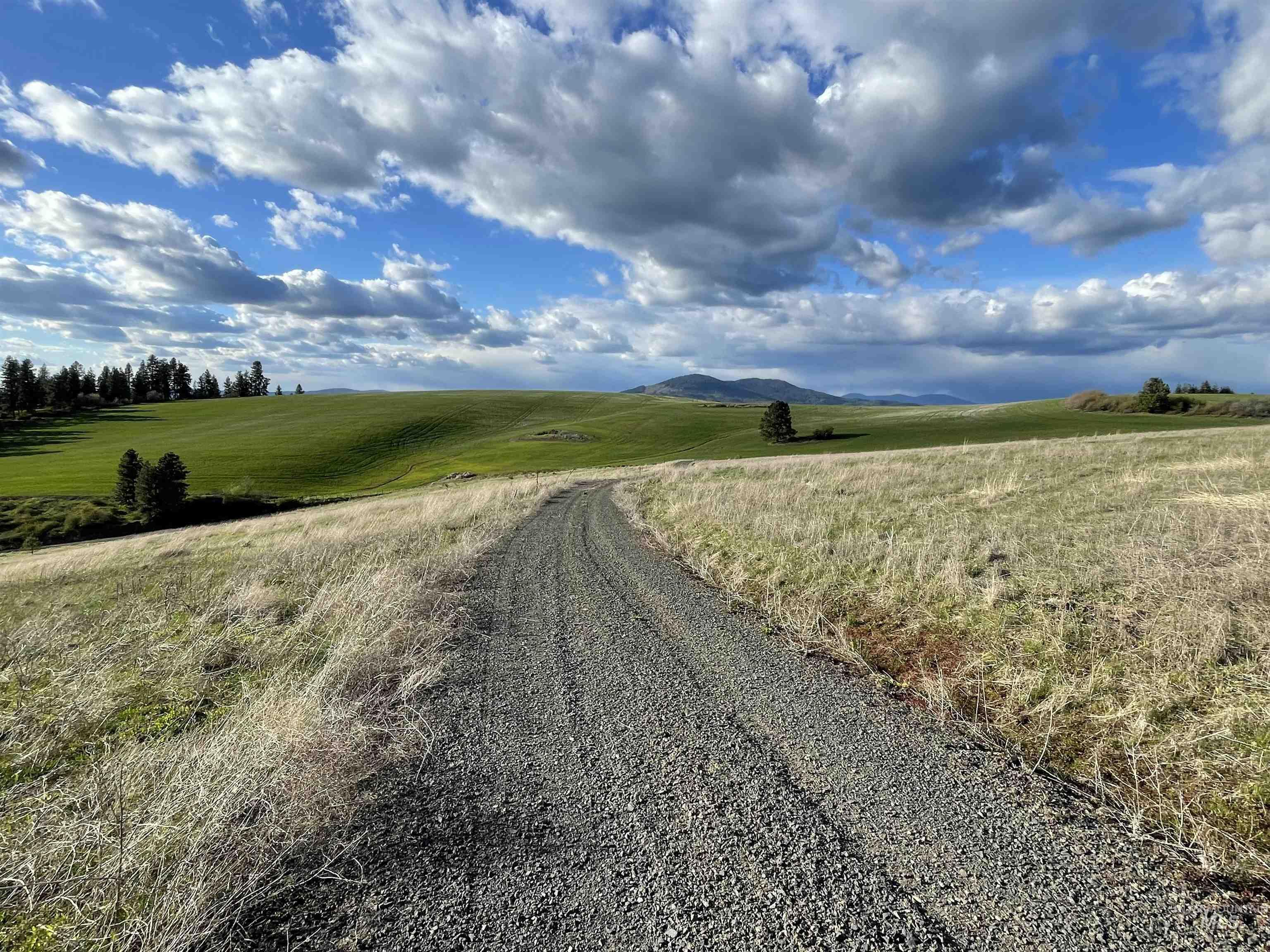 1204 Morris Road, Princeton, Idaho 83857, Land For Sale, Price $488,000,MLS 98920468