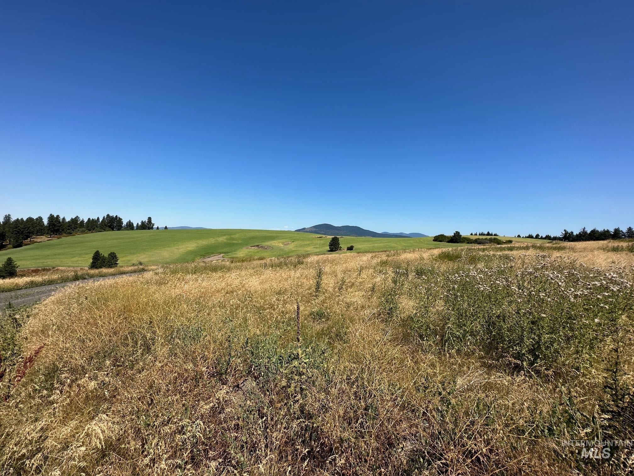 1204 Morris Road, Princeton, Idaho 83857, Land For Sale, Price $488,000,MLS 98920468