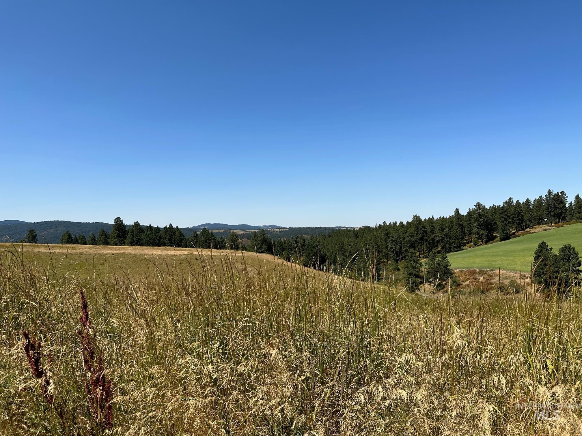 1204 Morris Road, Princeton, Idaho 83857, Land For Sale, Price $488,000,MLS 98920468