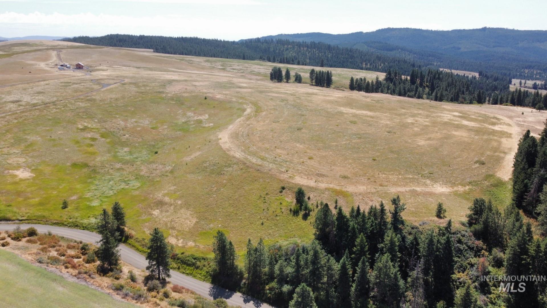 1204 Morris Road, Princeton, Idaho 83857, Land For Sale, Price $488,000,MLS 98920468