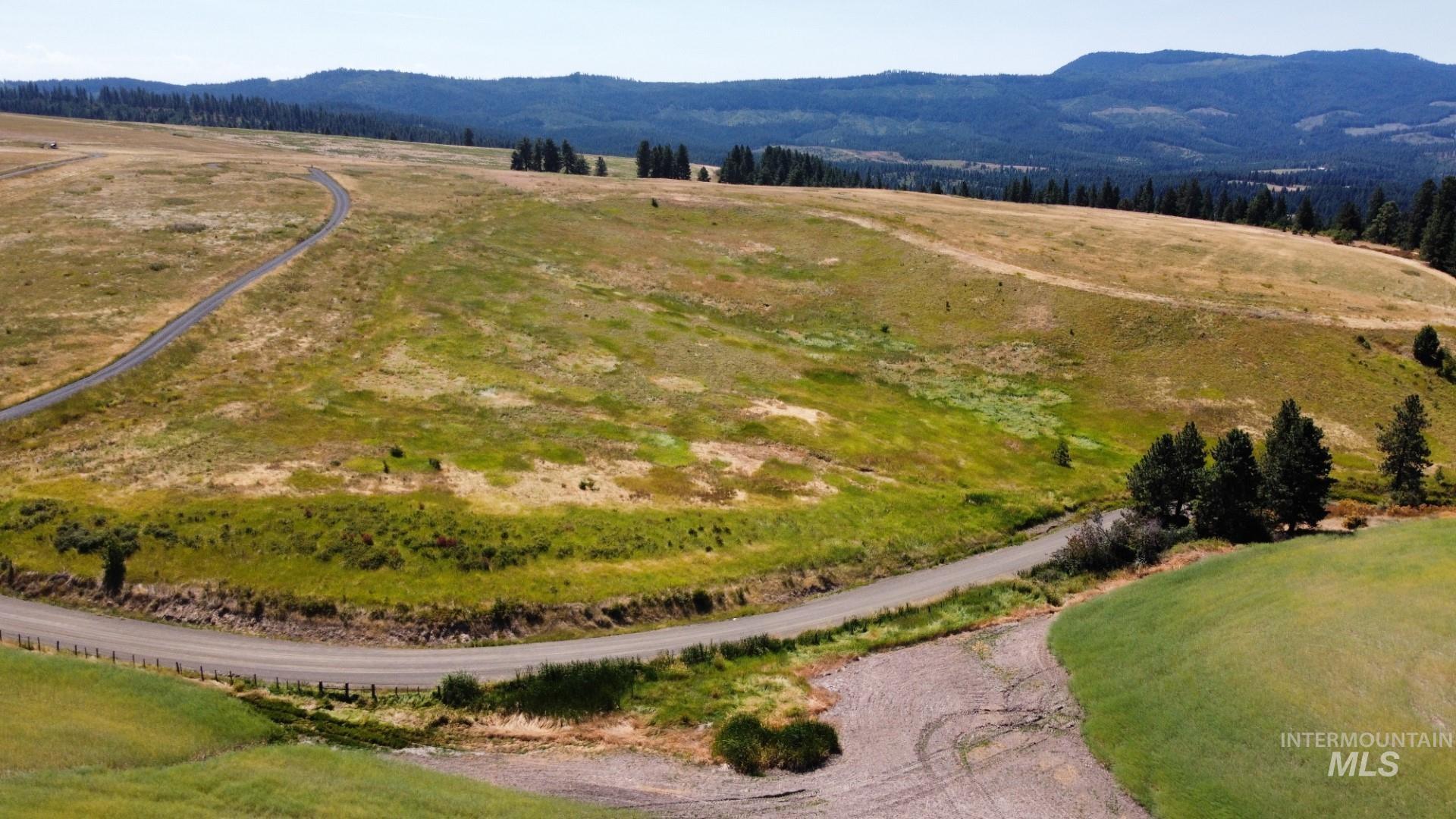 1204 Morris Road, Princeton, Idaho 83857, Land For Sale, Price $488,000,MLS 98920468