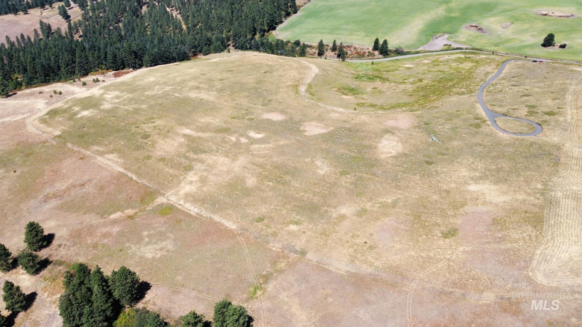 1204 Morris Road, Princeton, Idaho 83857, Land For Sale, Price $488,000,MLS 98920468