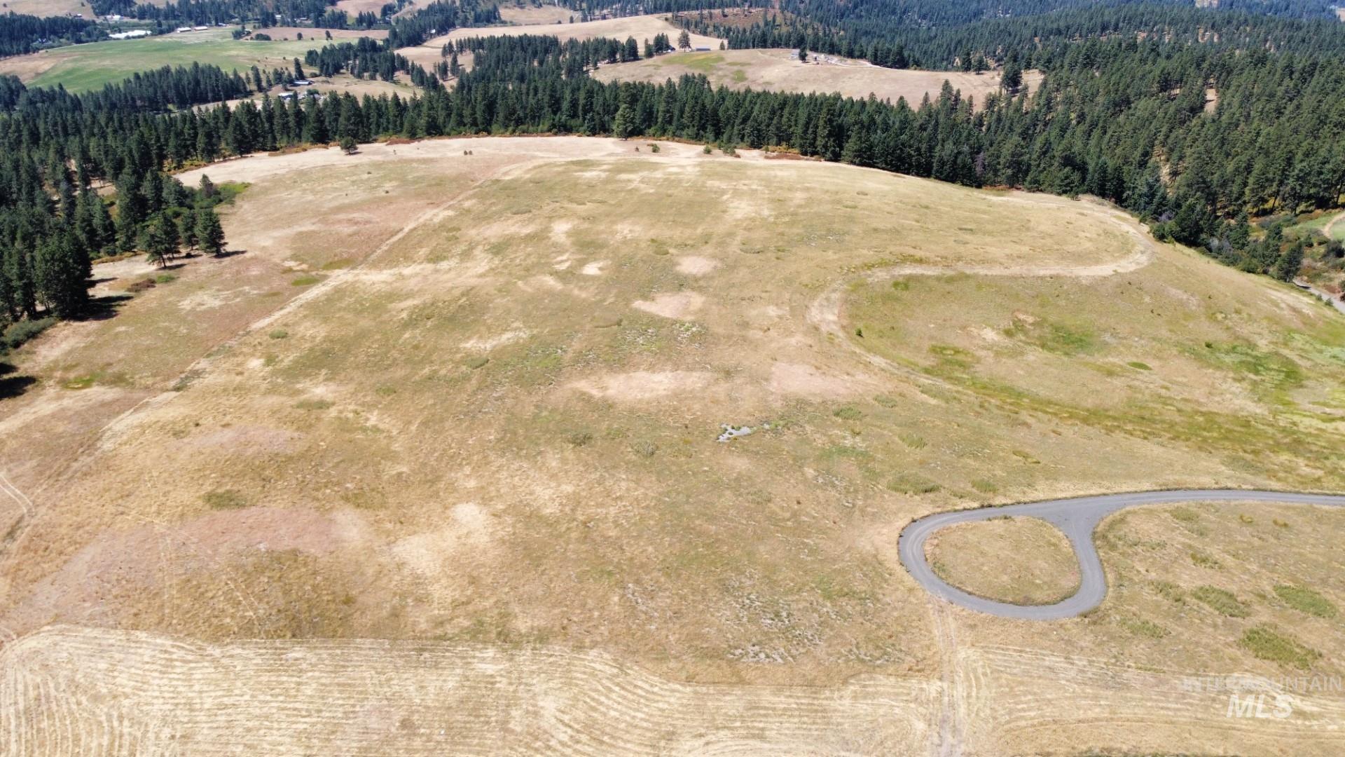 1204 Morris Road, Princeton, Idaho 83857, Land For Sale, Price $488,000,MLS 98920468