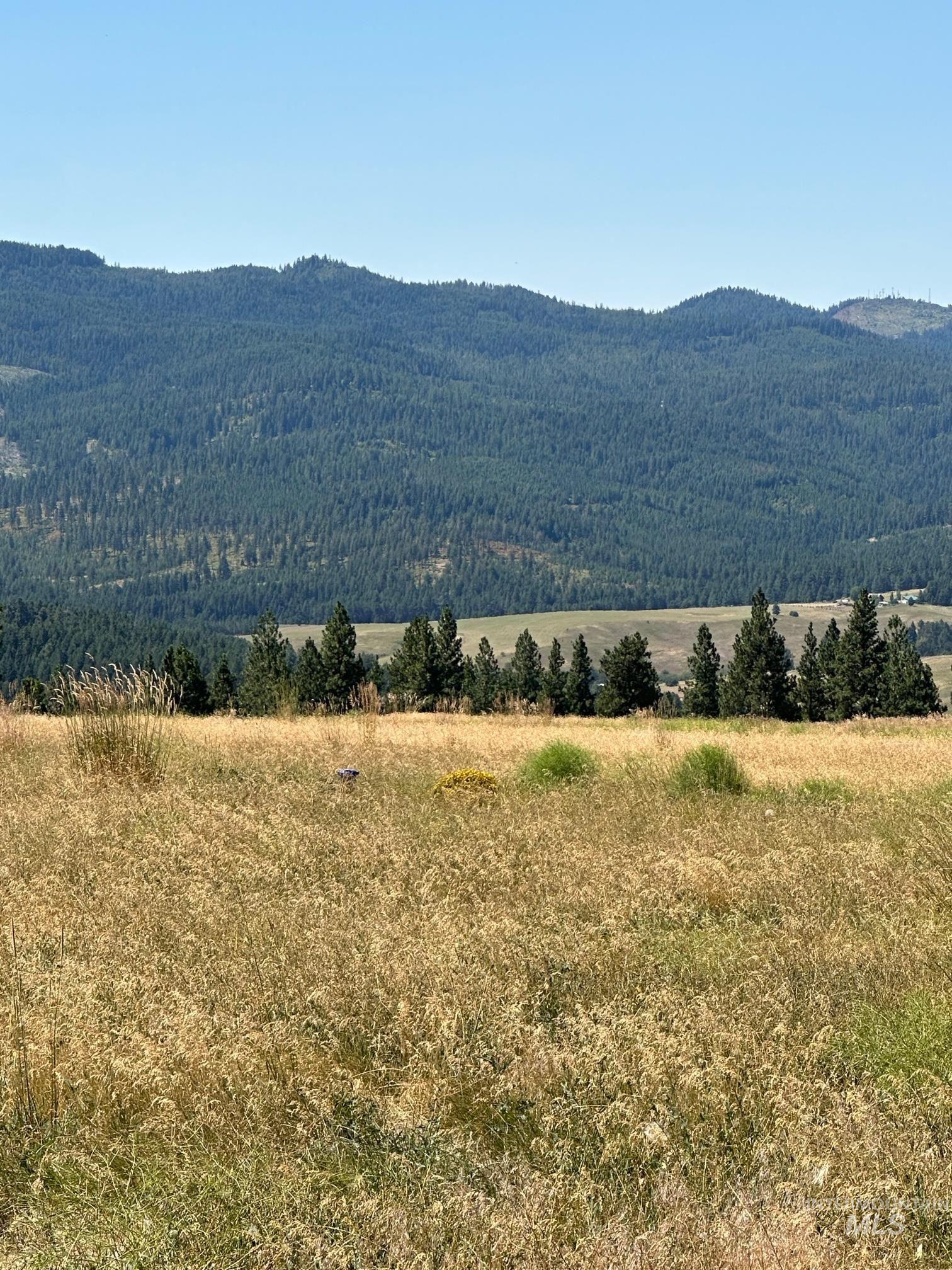 1204 Morris Road, Princeton, Idaho 83857, Land For Sale, Price $488,000,MLS 98920468