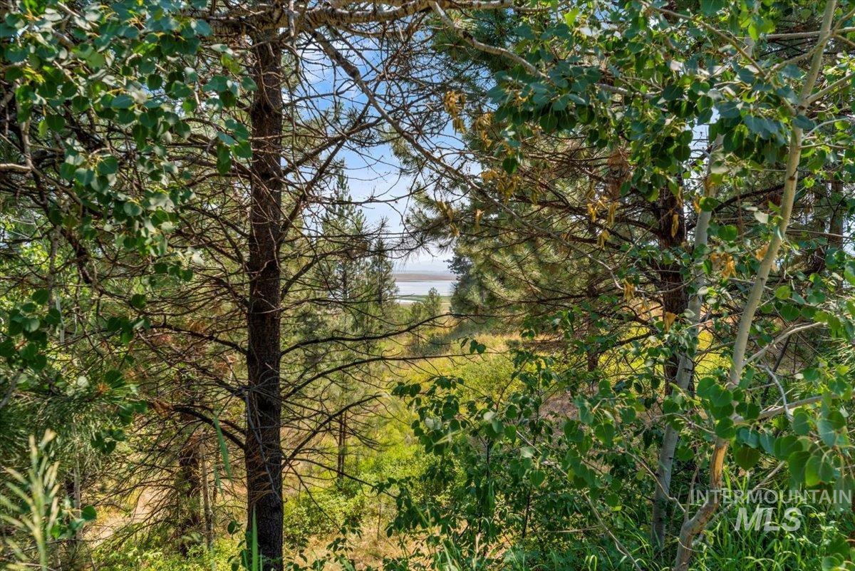 6 Joshua Dr, Cascade, Idaho 83611, Land For Sale, Price $275,000,MLS 98920473