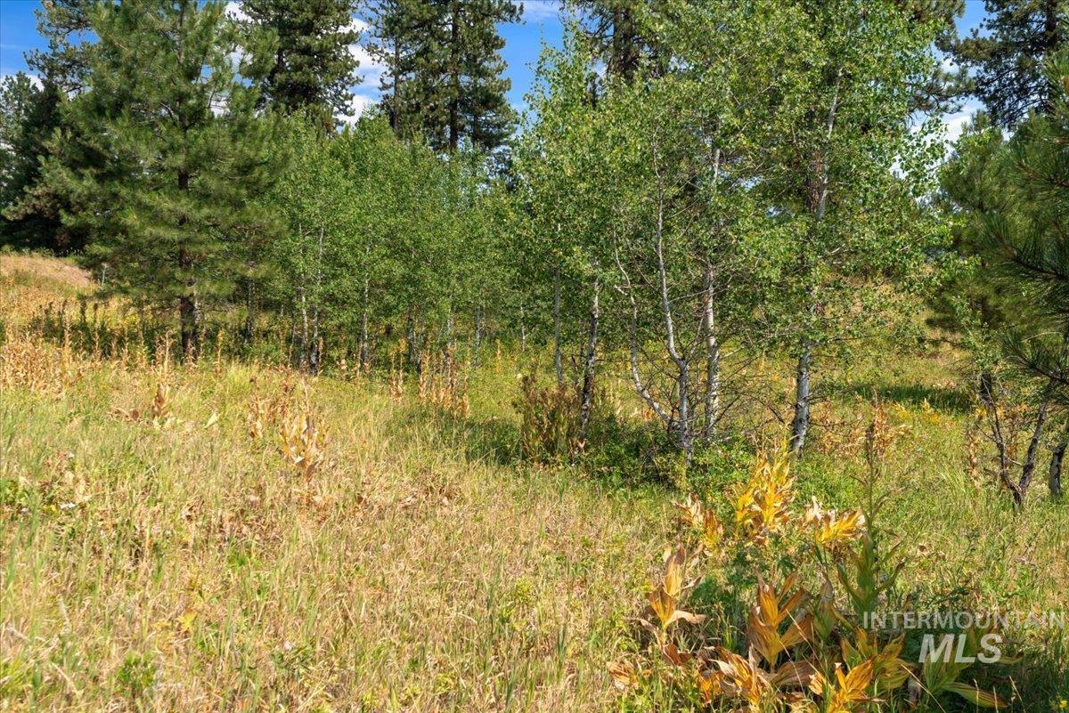 6 Joshua Dr, Cascade, Idaho 83611, Land For Sale, Price $275,000,MLS 98920473