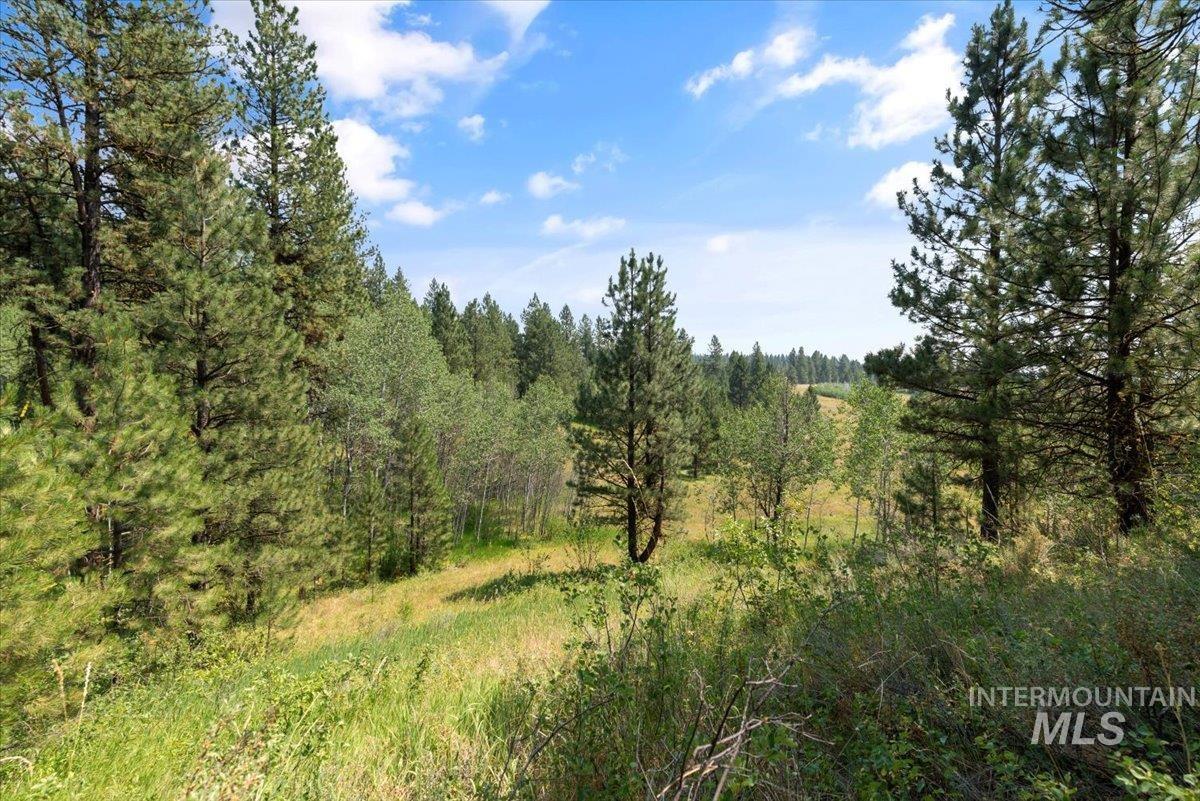 6 Joshua Dr, Cascade, Idaho 83611, Land For Sale, Price $275,000,MLS 98920473