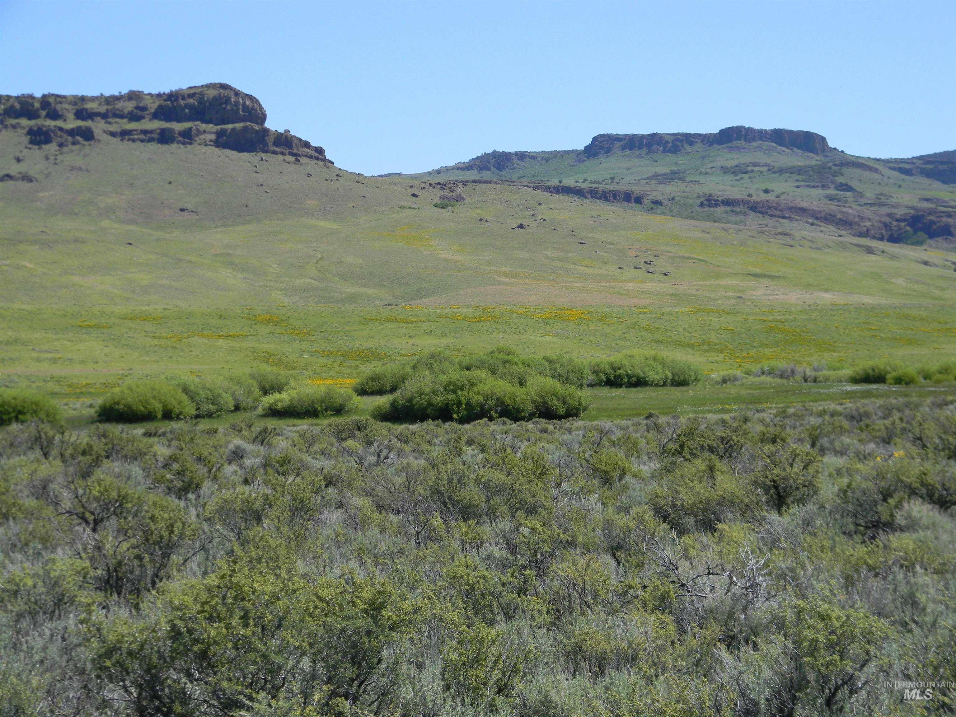 4 Cow Creek Rd., Marsing, Idaho 83650, Farm & Ranch For Sale, Price $2,100,000, 98920484