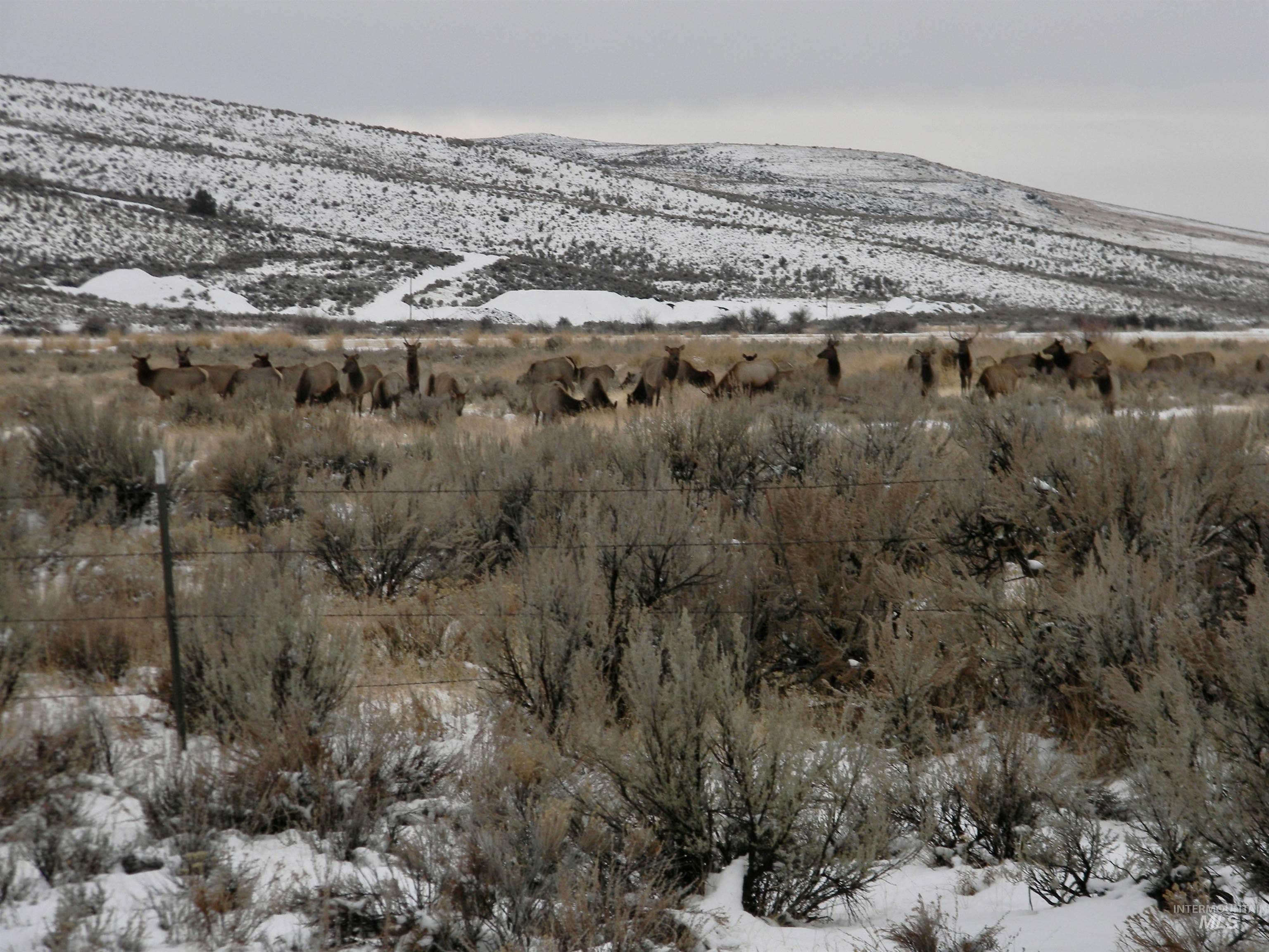 4 Cow Creek Rd., Marsing, Idaho 83650, Farm & Ranch For Sale, Price $2,100,000, 98920484