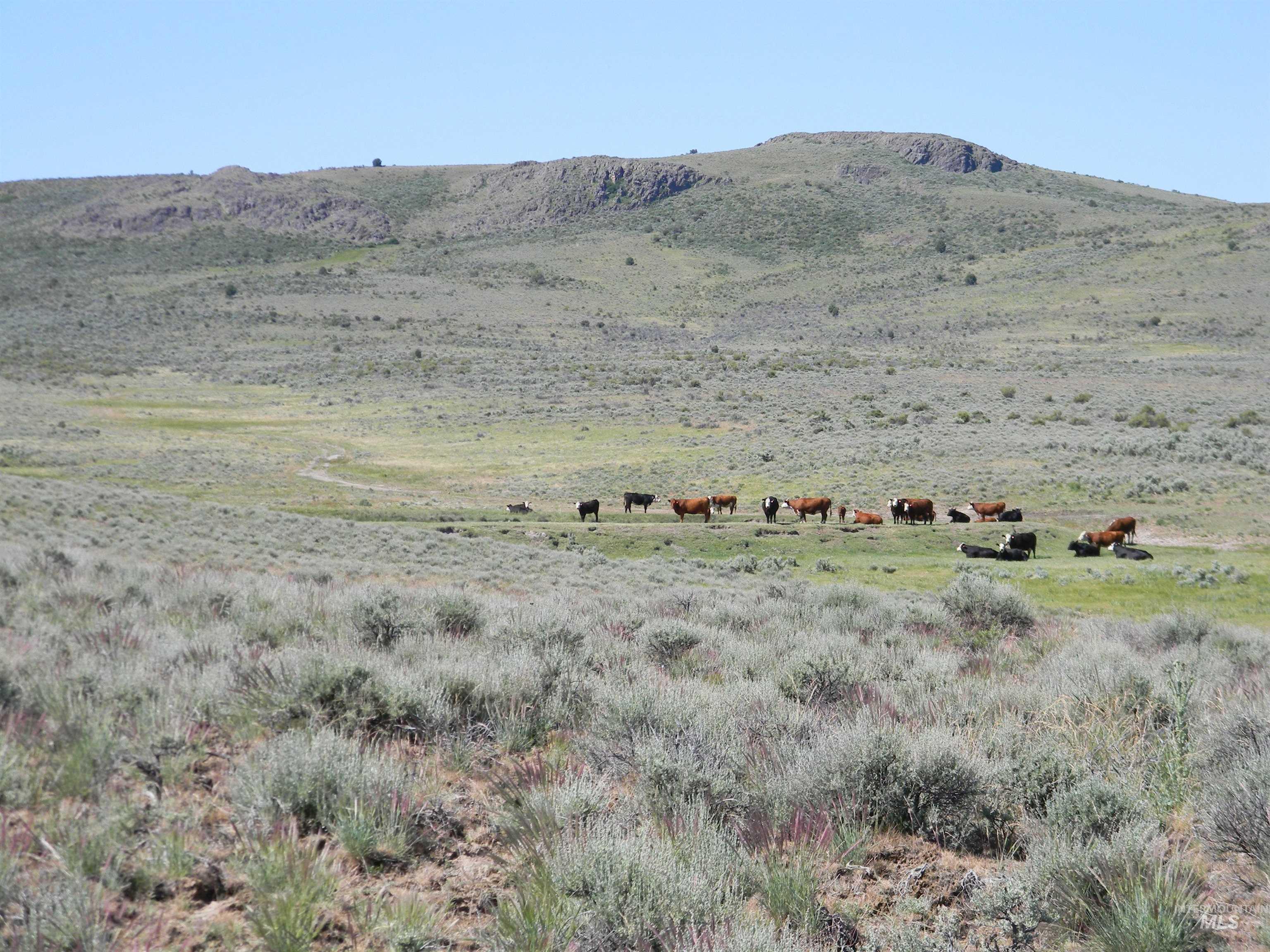 4 Cow Creek Rd., Marsing, Idaho 83650, Farm & Ranch For Sale, Price $2,100,000, 98920484