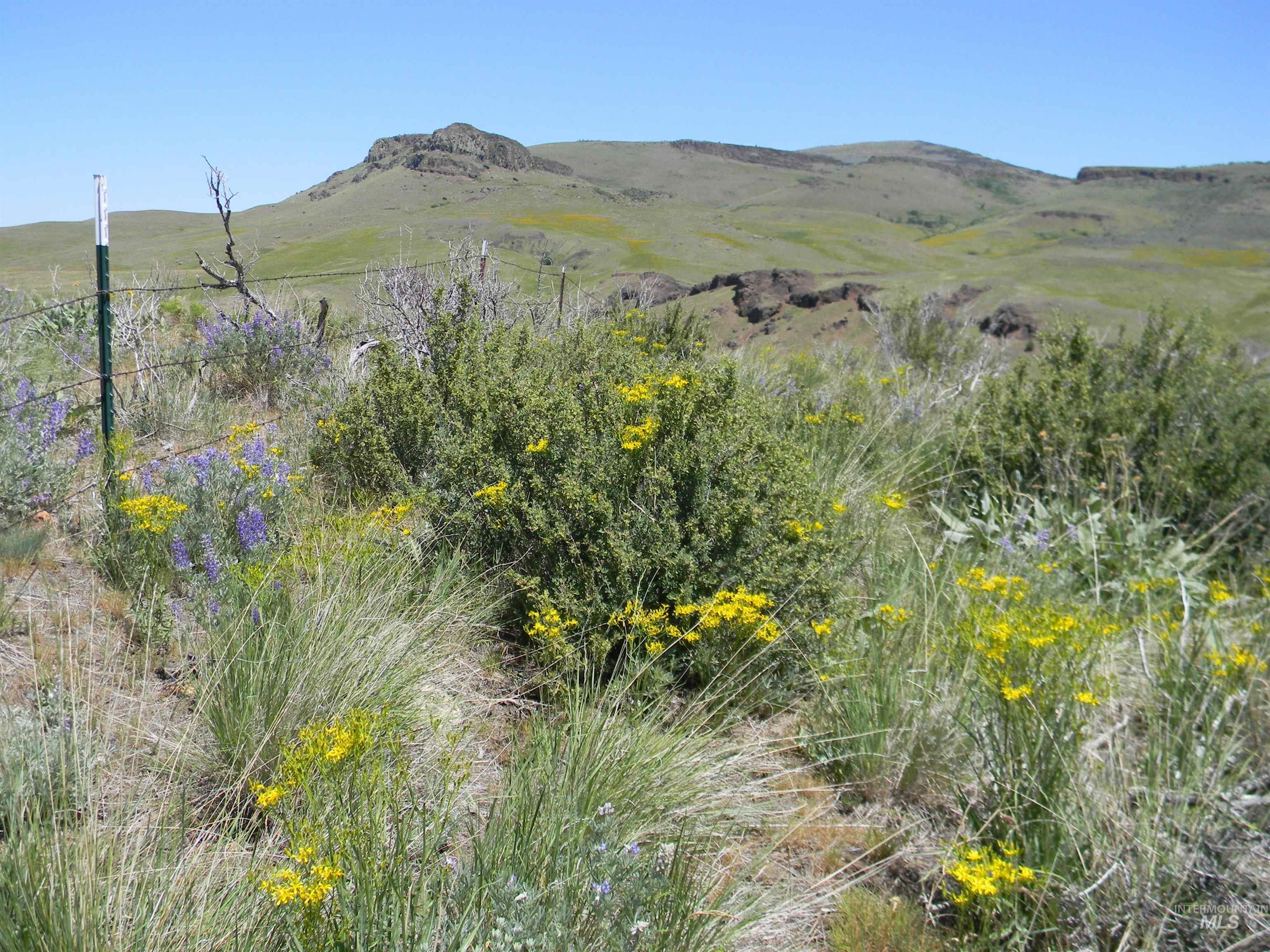 4 Cow Creek Rd., Marsing, Idaho 83650, Farm & Ranch For Sale, Price $2,100,000, 98920484