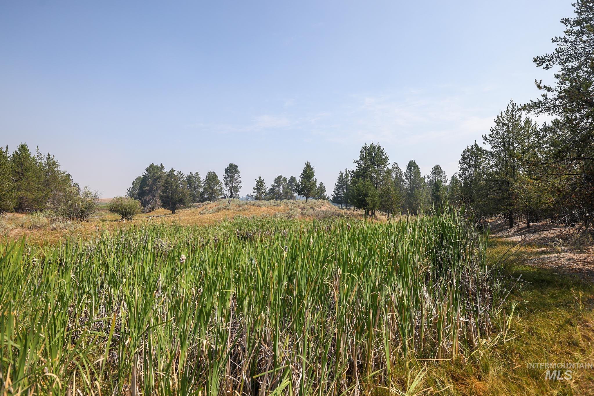 000 Highway 55, Cascade, Idaho 83611, Land For Sale, Price $5,750,000, 98920638