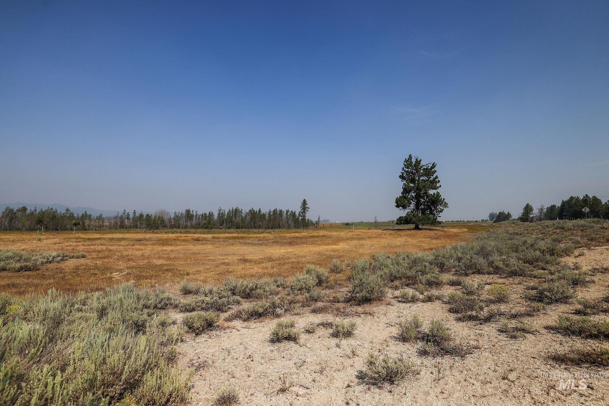 000 Highway 55, Cascade, Idaho 83611, Land For Sale, Price $5,750,000, 98920638