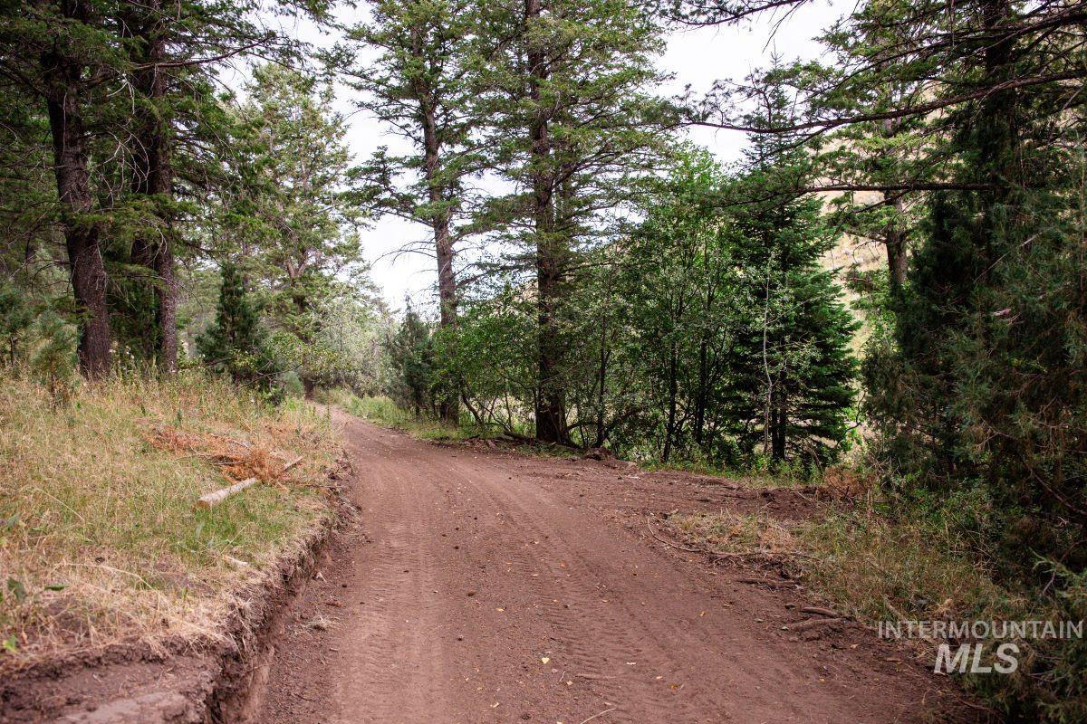 TBD Baldy Mountain Rd, Lava Hot Springs, Idaho 83246, Land For Sale, Price $680,000,MLS 98920686