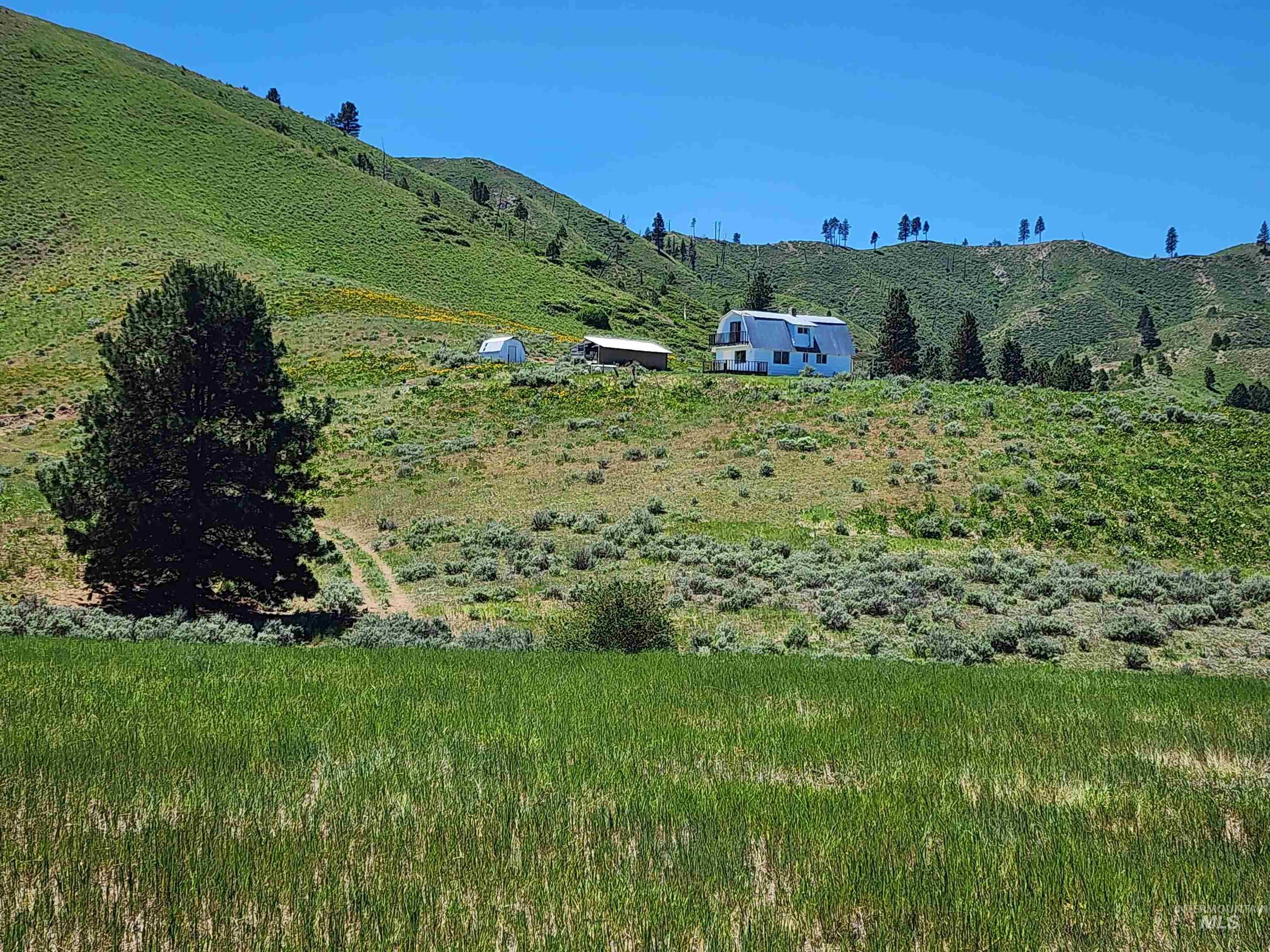 TBD Crank Creek, Mountain Home, Idaho 83647, Land For Sale, Price $1,811,250, 98920697