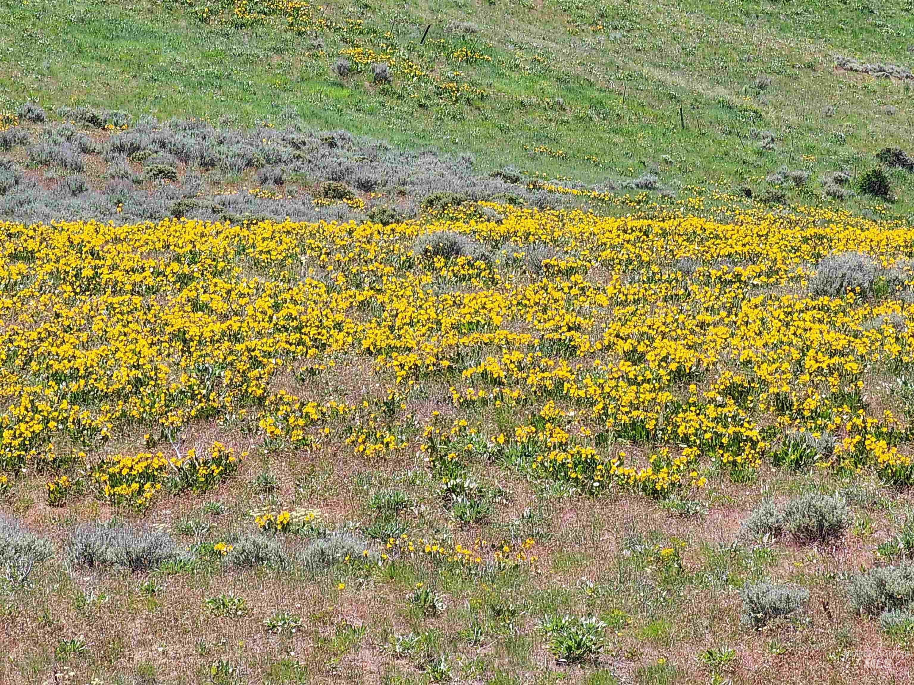 TBD Crank Creek, Mountain Home, Idaho 83647, Land For Sale, Price $1,811,250, 98920697