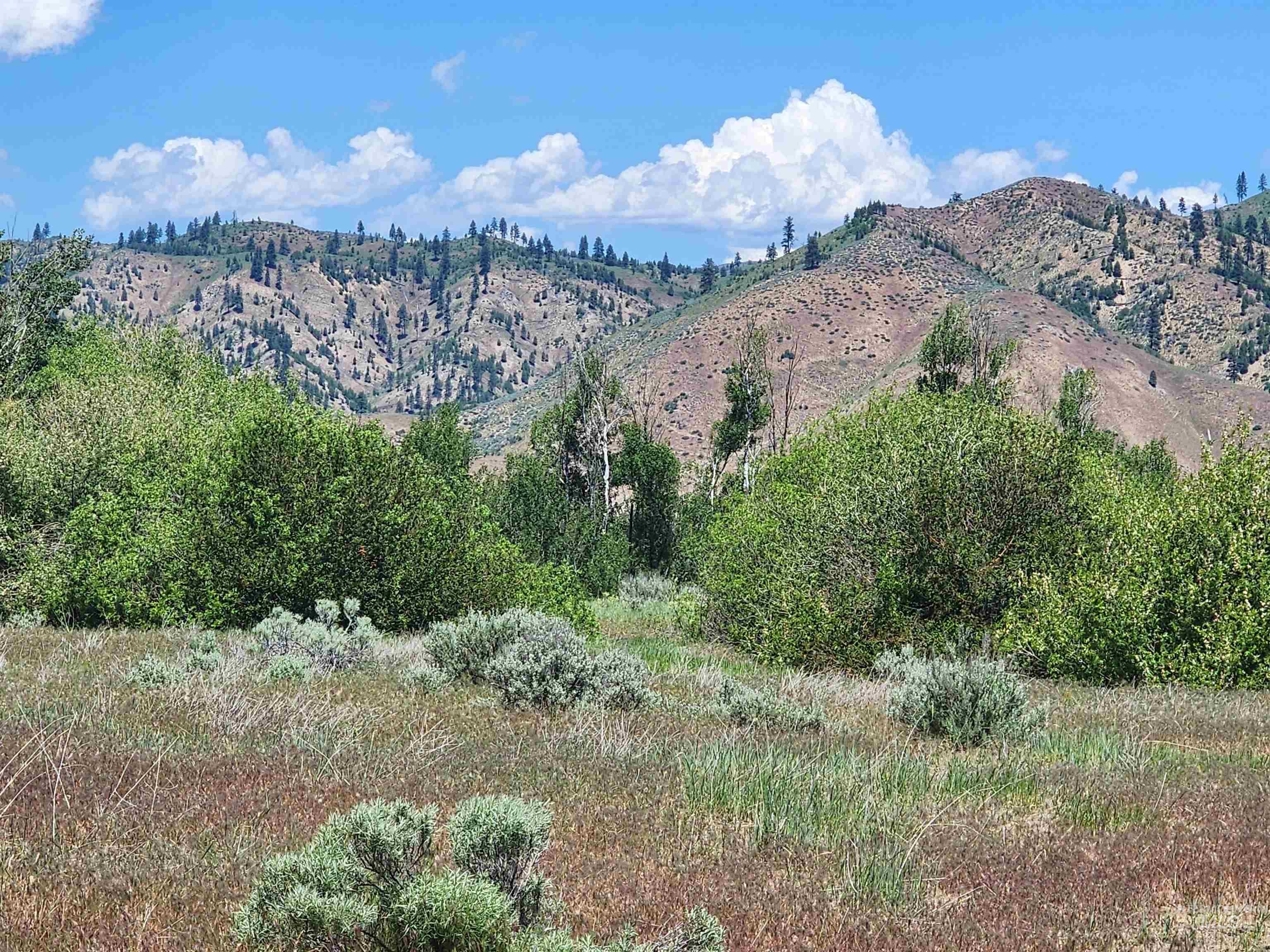 TBD Crank Creek, Mountain Home, Idaho 83647, Land For Sale, Price $1,811,250, 98920697