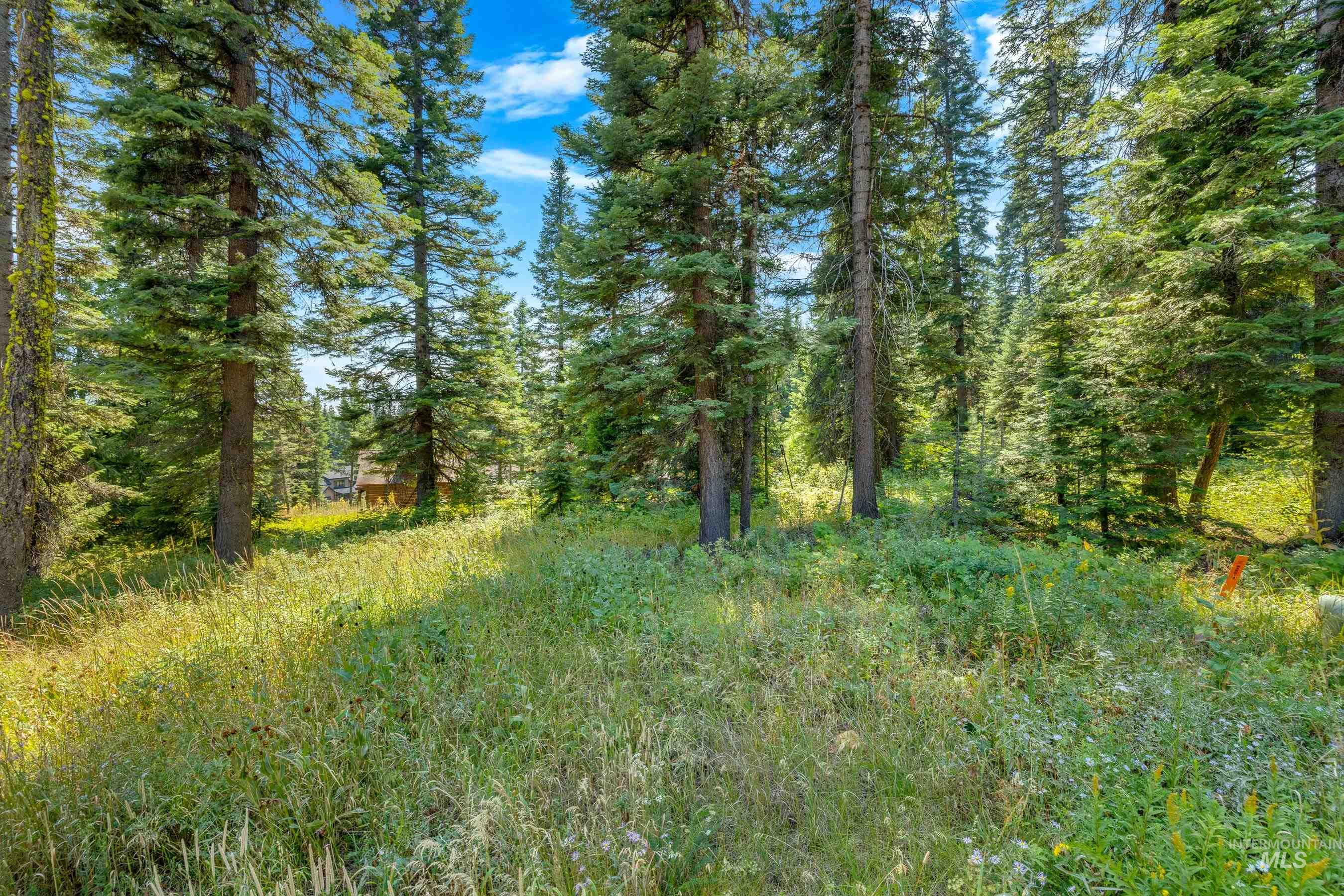 231 Sugarloaf Place, Donnelly, Idaho 83615, Land For Sale, Price $870,000, 98920815
