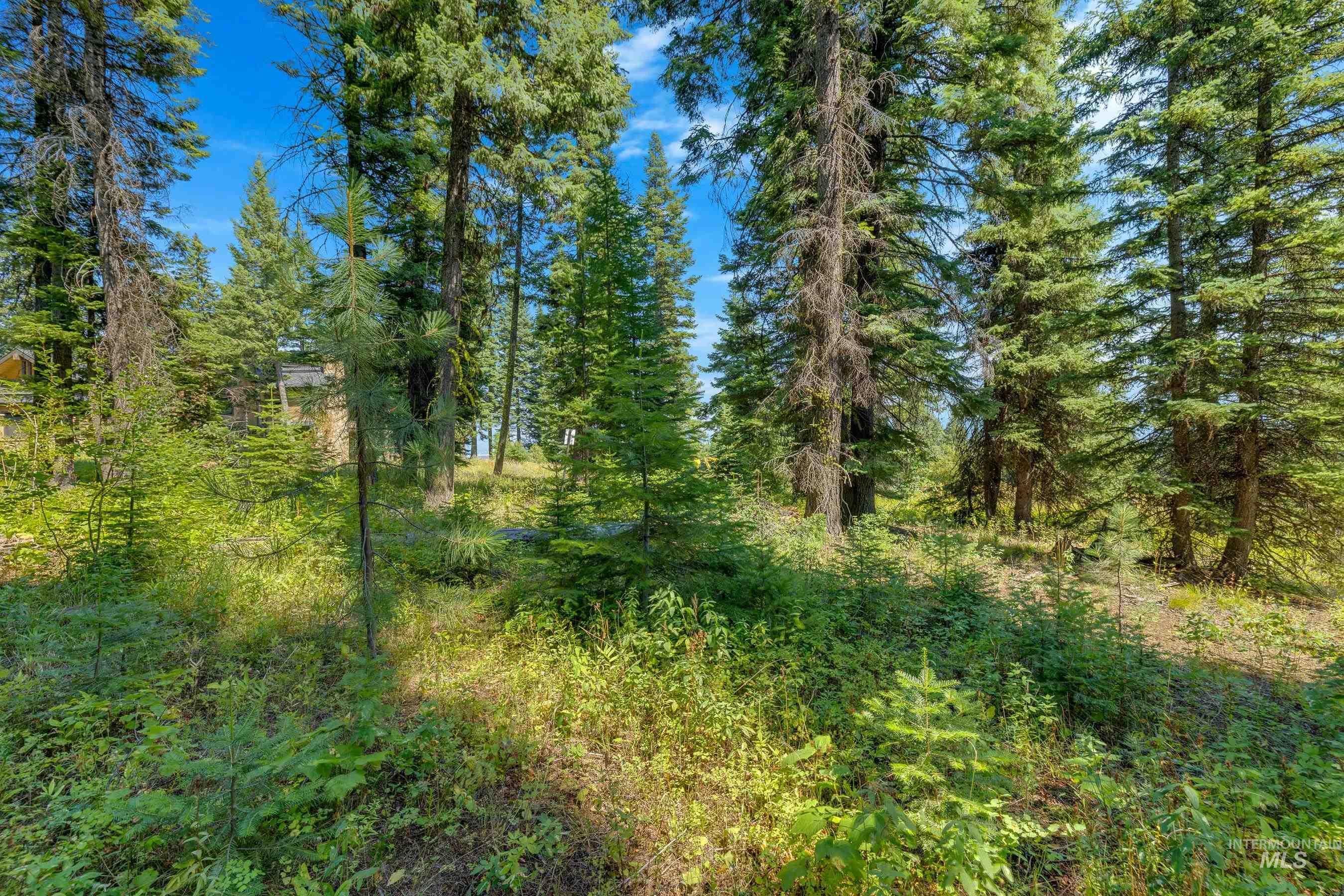 231 Sugarloaf Place, Donnelly, Idaho 83615, Land For Sale, Price $870,000, 98920815