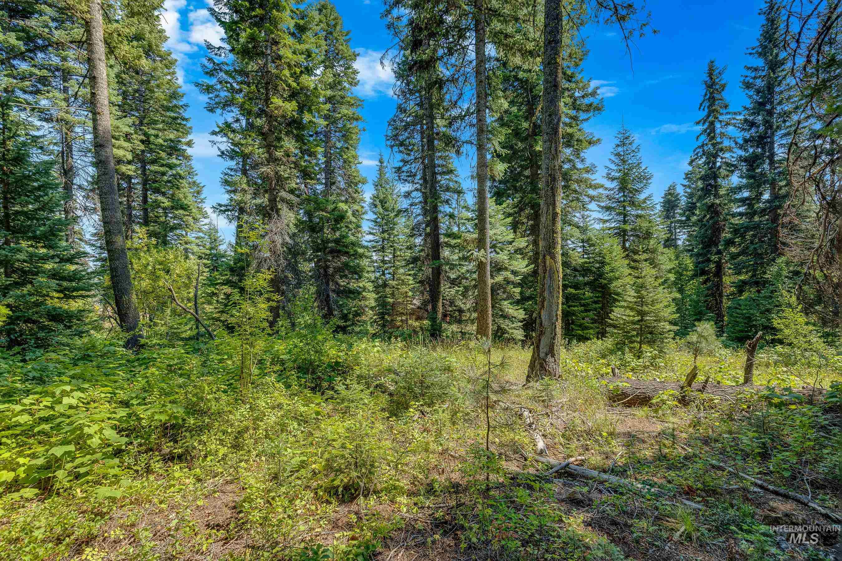 231 Sugarloaf Place, Donnelly, Idaho 83615, Land For Sale, Price $870,000, 98920815