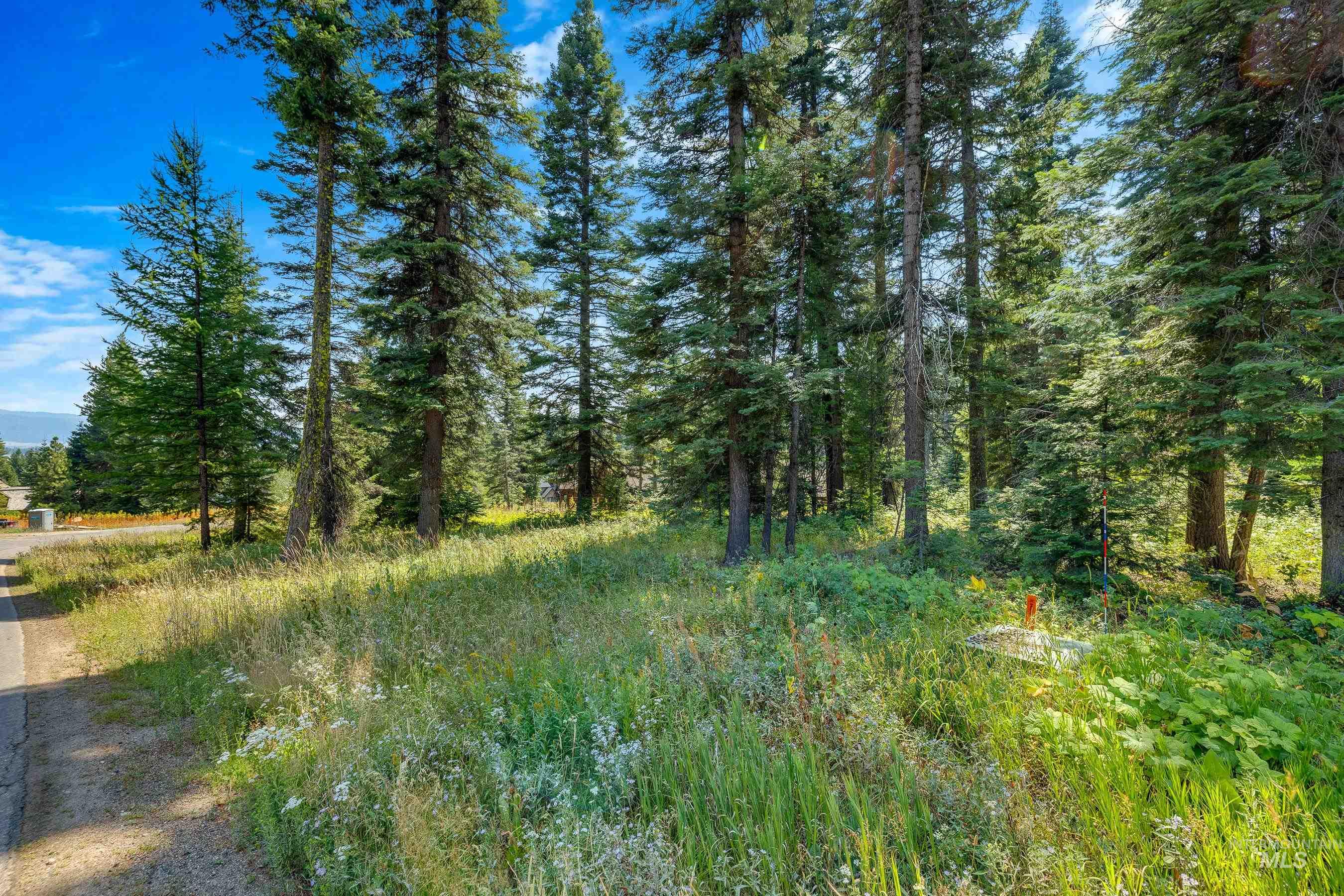 231 Sugarloaf Place, Donnelly, Idaho 83615, Land For Sale, Price $870,000, 98920815