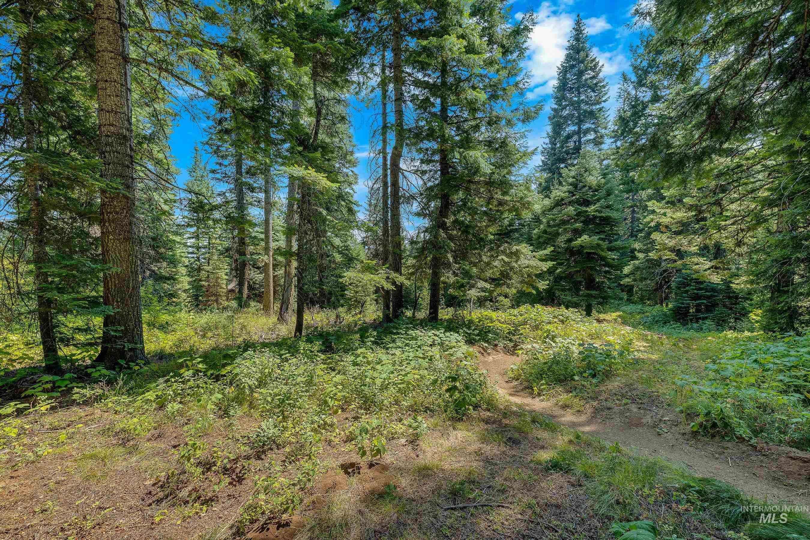 231 Sugarloaf Place, Donnelly, Idaho 83615, Land For Sale, Price $870,000, 98920815