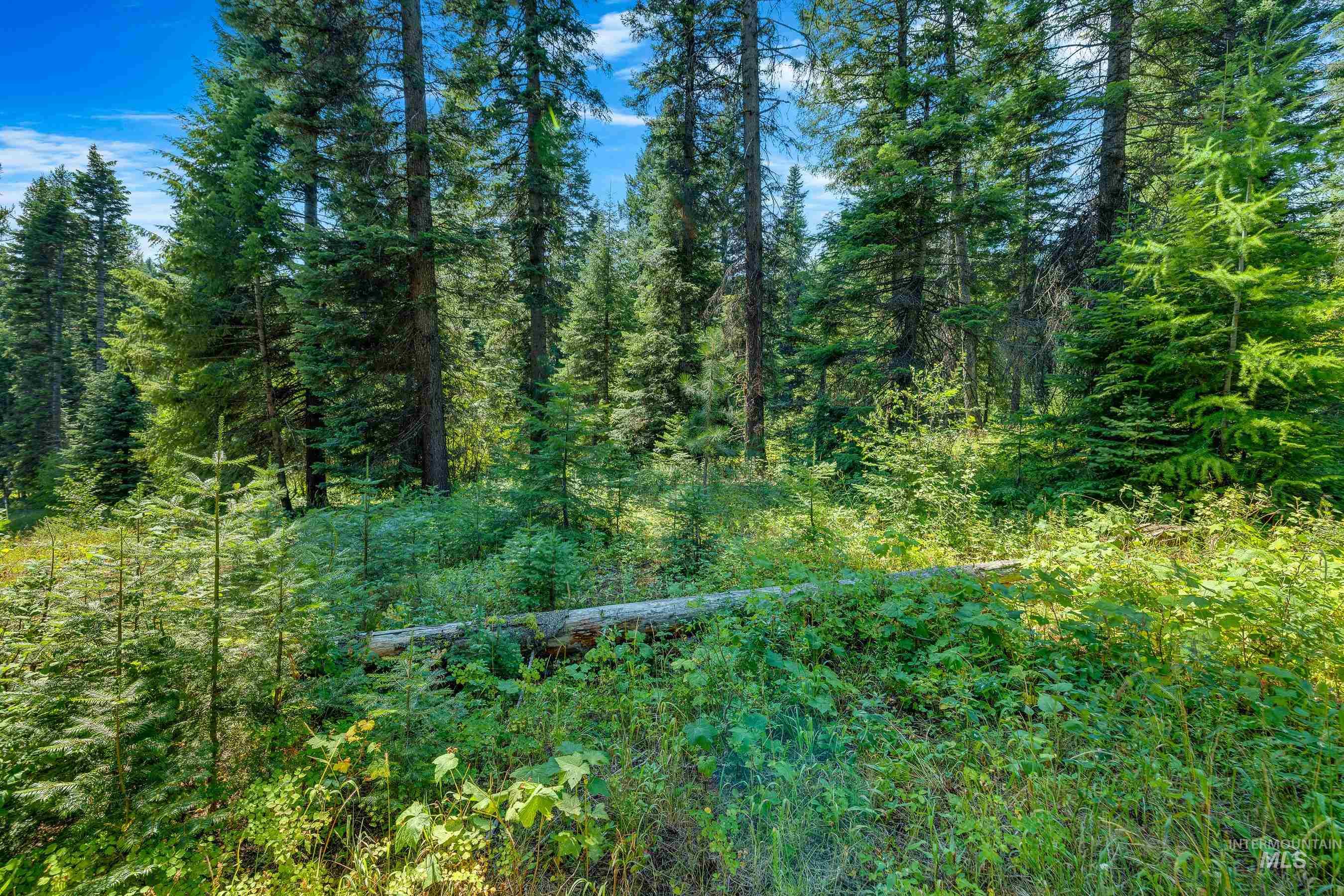 231 Sugarloaf Place, Donnelly, Idaho 83615, Land For Sale, Price $870,000, 98920815