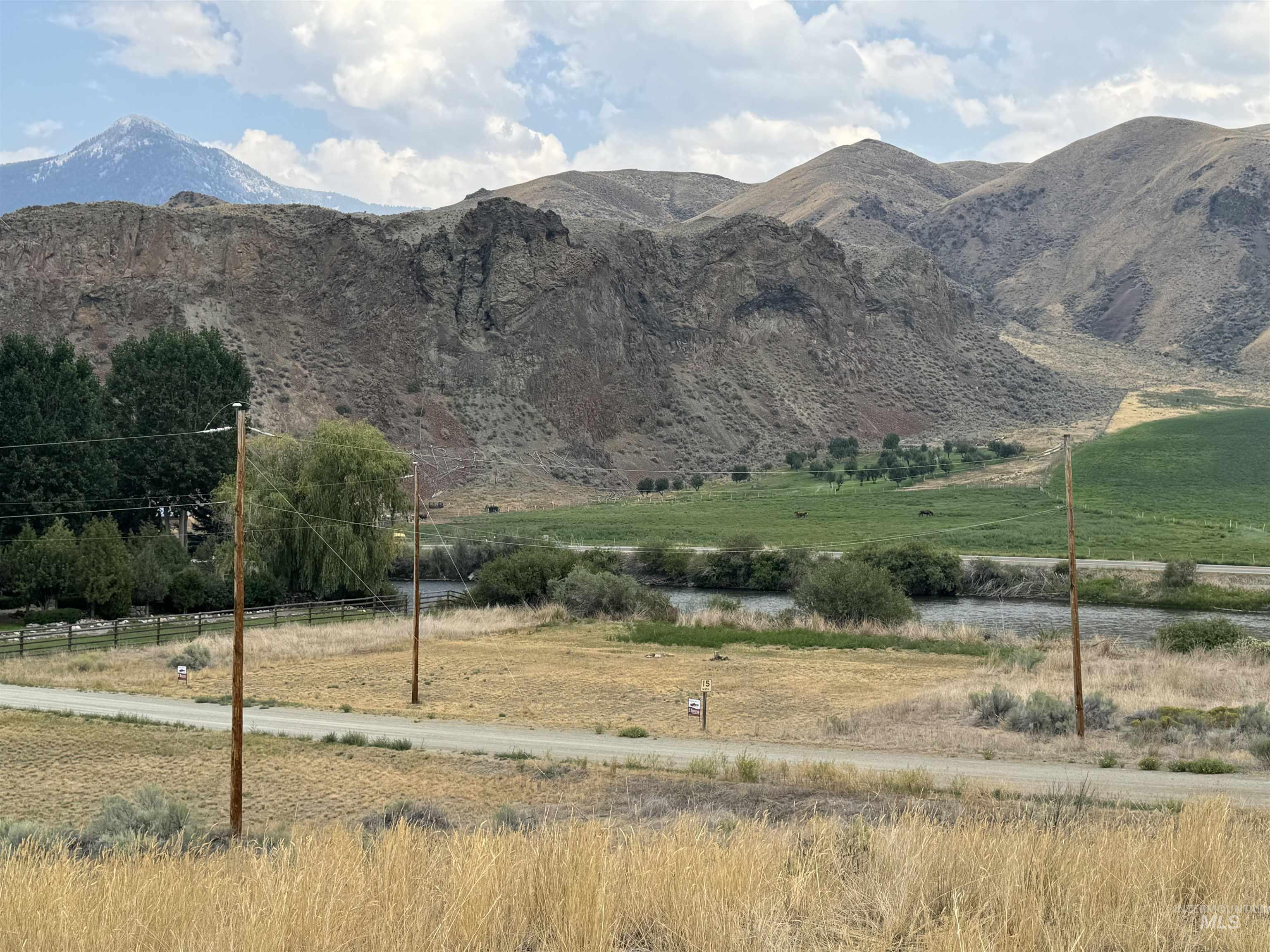 Salmon River Meadows Lot 61, Salmon, Idaho 83467, Land For Sale, Price $105,000, 98920829