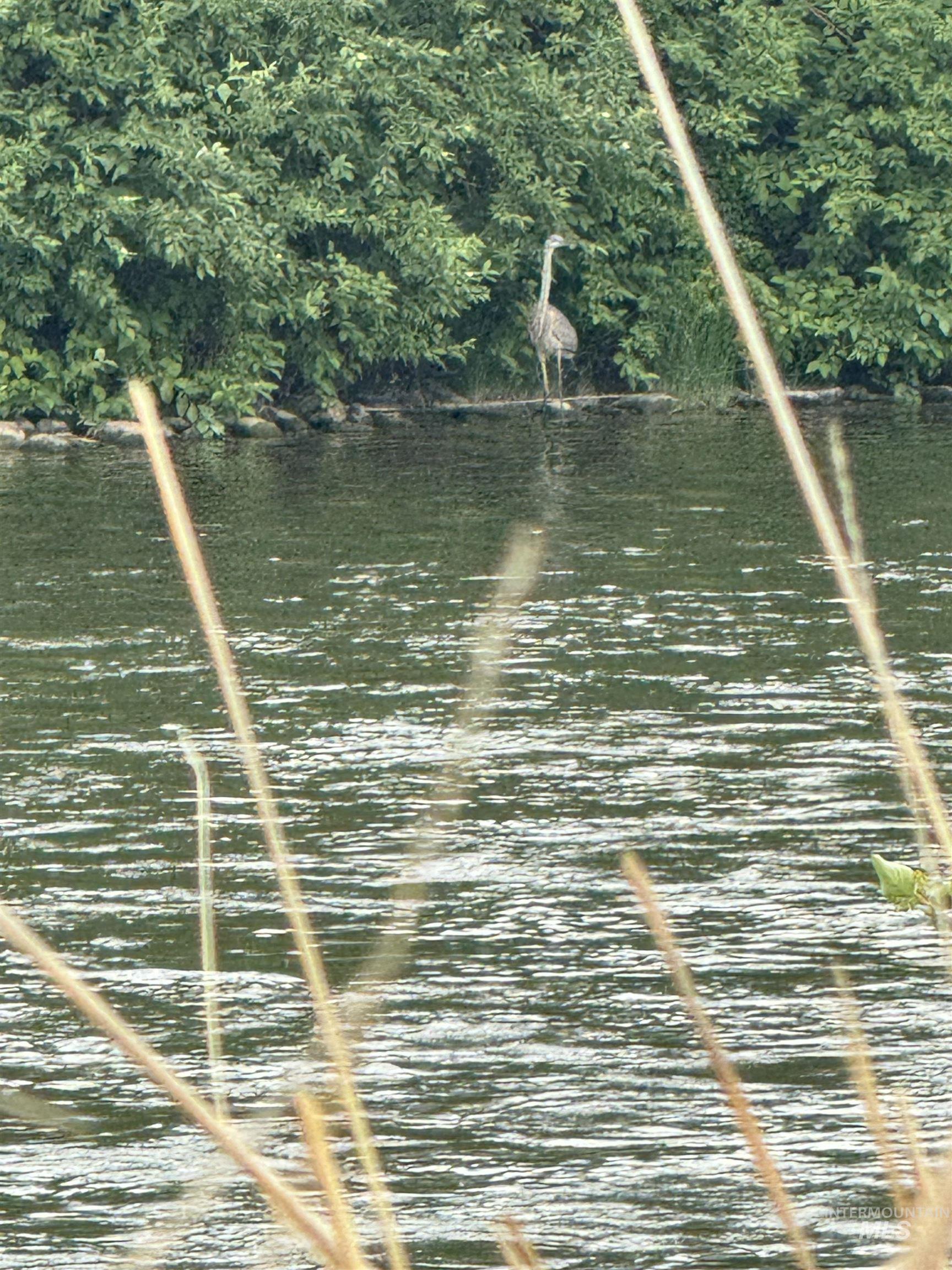 Salmon River Meadows Lot 61, Salmon, Idaho 83467, Land For Sale, Price $105,000, 98920829