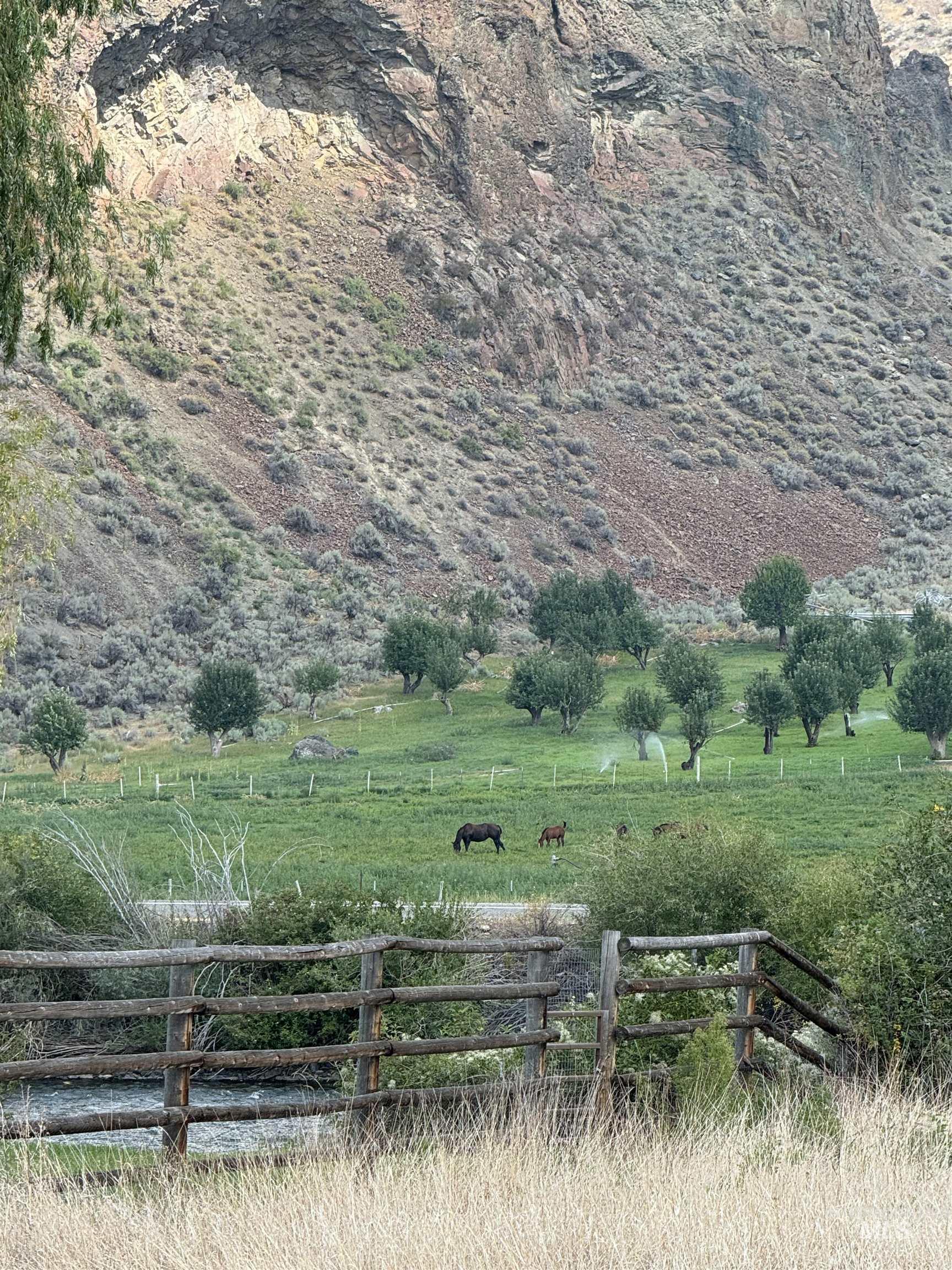 Salmon River Meadows Lot 61, Salmon, Idaho 83467, Land For Sale, Price $105,000, 98920829