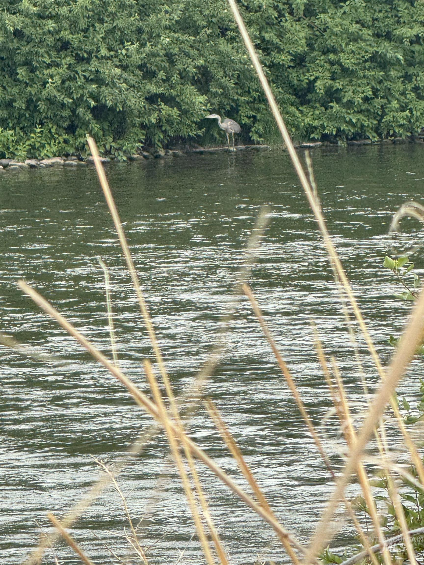 Salmon River Meadows Lot 62, Salmon, Idaho 83467, Land For Sale, Price $105,000, 98920830