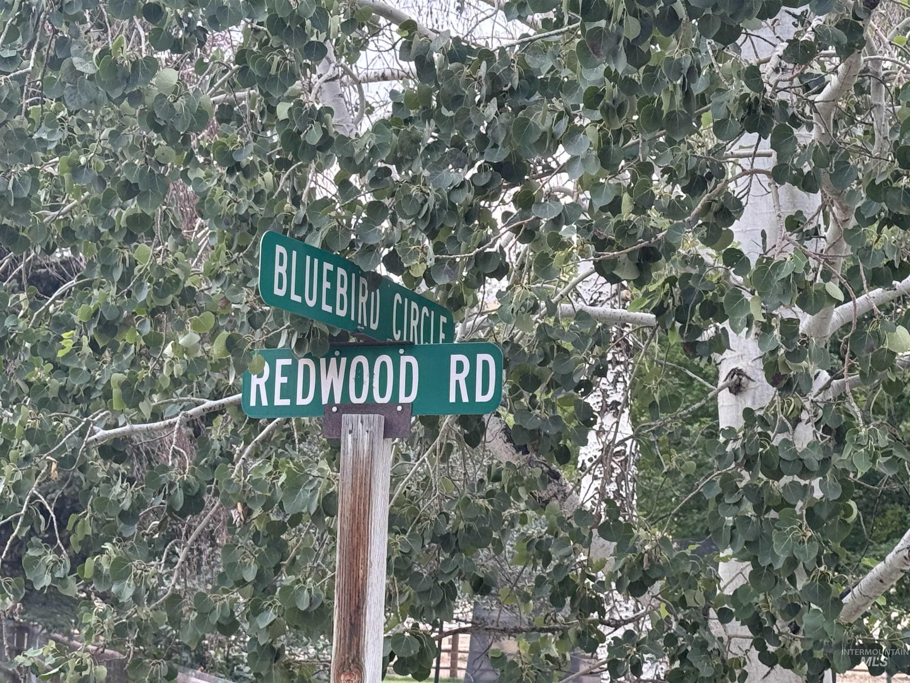 Salmon River Meadows Lots 61 & 62, Salmon, Idaho 83467, Land For Sale, Price $210,000, 98920831