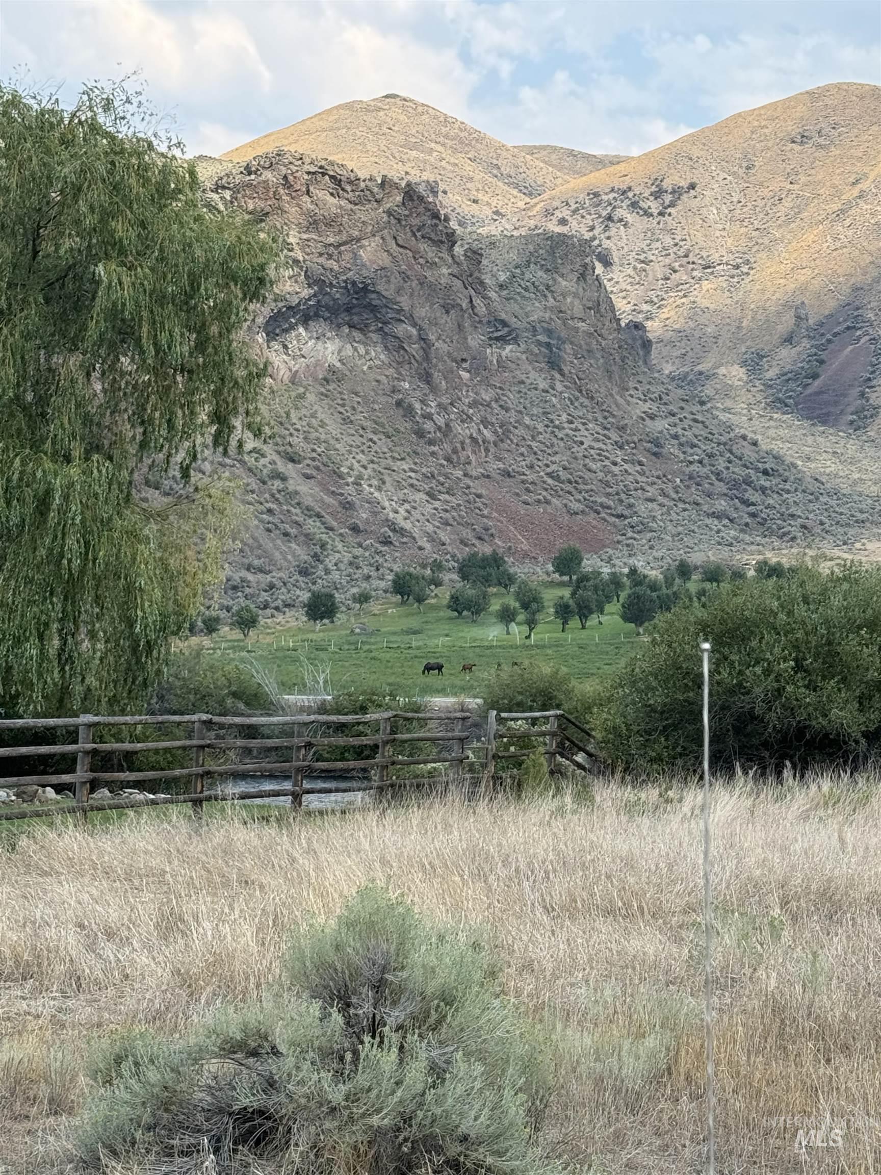 Salmon River Meadows Lots 61 & 62, Salmon, Idaho 83467, Land For Sale, Price $210,000, 98920831