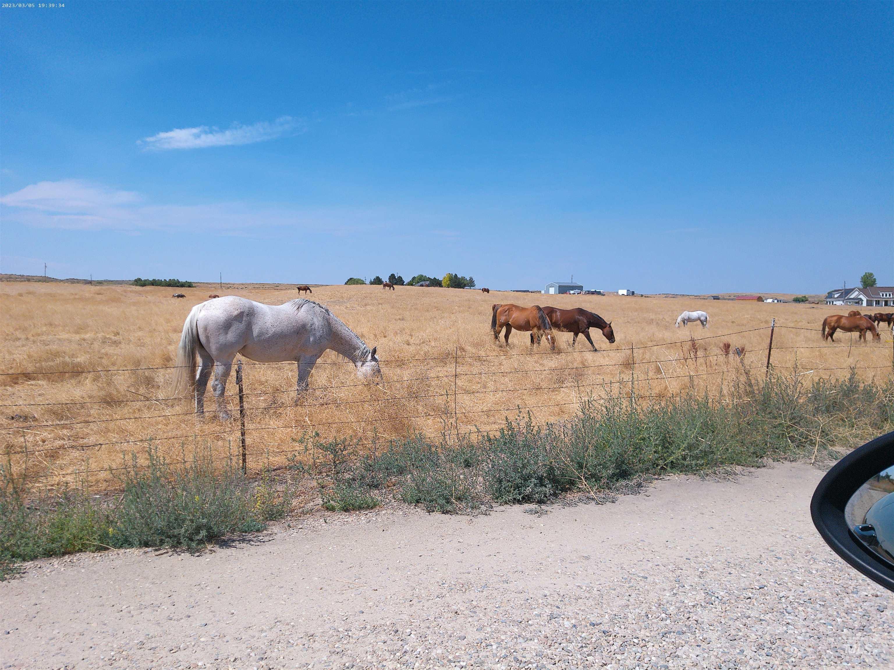 7000 SE 11th Ave., Caldwell, Idaho 83607, Farm & Ranch For Sale, Price $1,895,000, 98920873