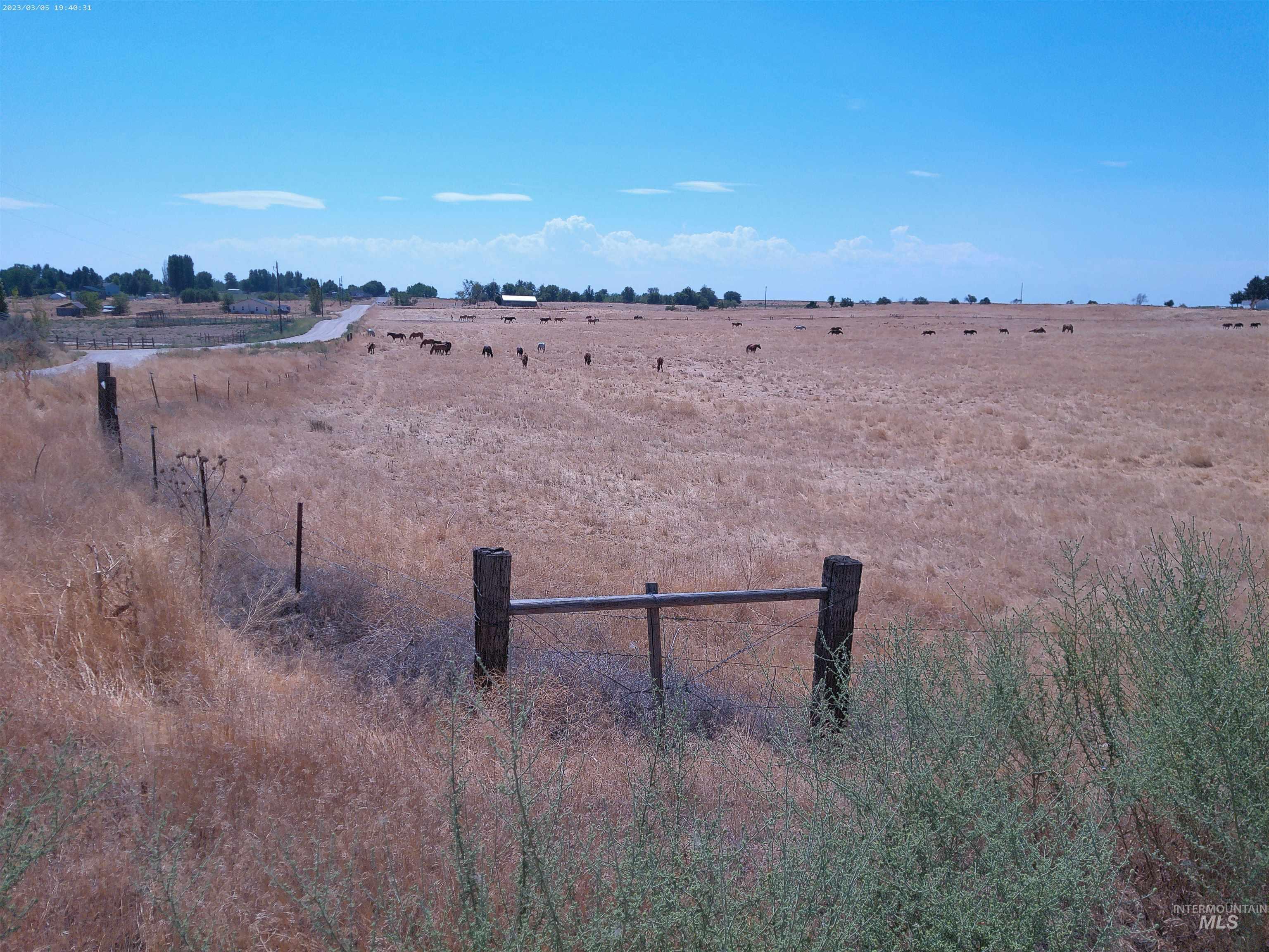 7000 SE 11th Ave., Caldwell, Idaho 83607, Farm & Ranch For Sale, Price $1,895,000, 98920873