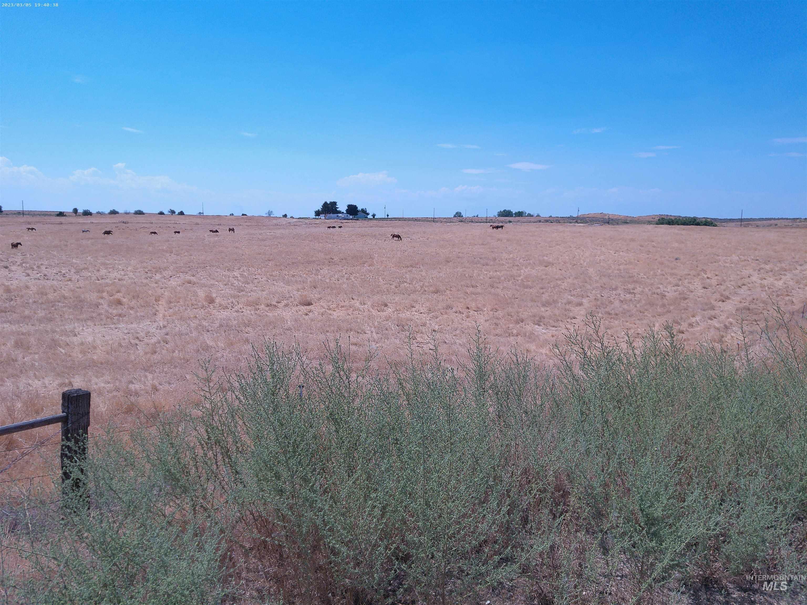 7000 SE 11th Ave., Caldwell, Idaho 83607, Farm & Ranch For Sale, Price $1,895,000, 98920873
