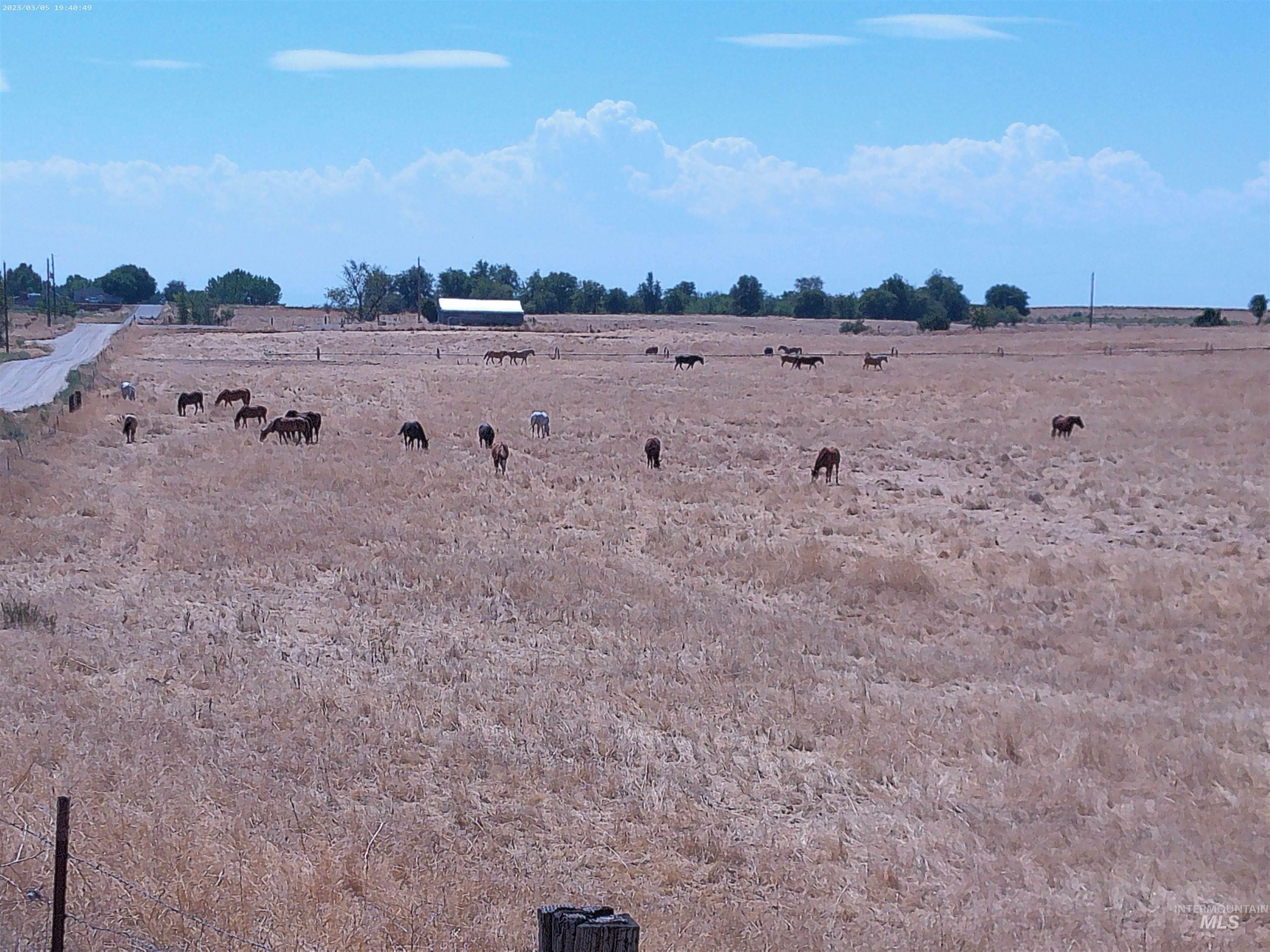 7000 SE 11th Ave., Caldwell, Idaho 83607, Farm & Ranch For Sale, Price $1,895,000,MLS 98920873