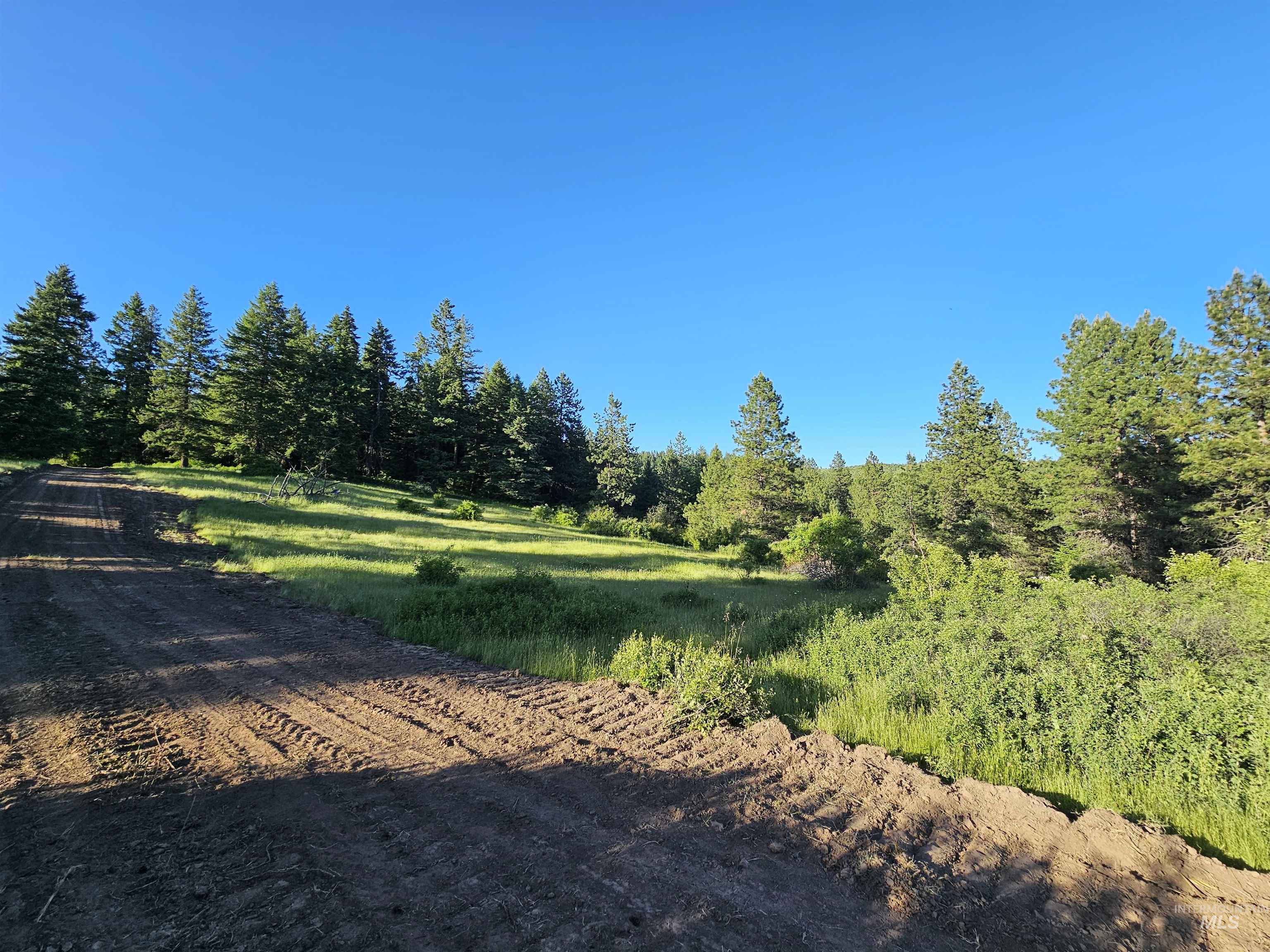 TBD Red Willow Rd, Lot 79 Cedar Creek Subdivision, Kendrick, Idaho 83537, Land For Sale, Price $89,000,MLS 98920907