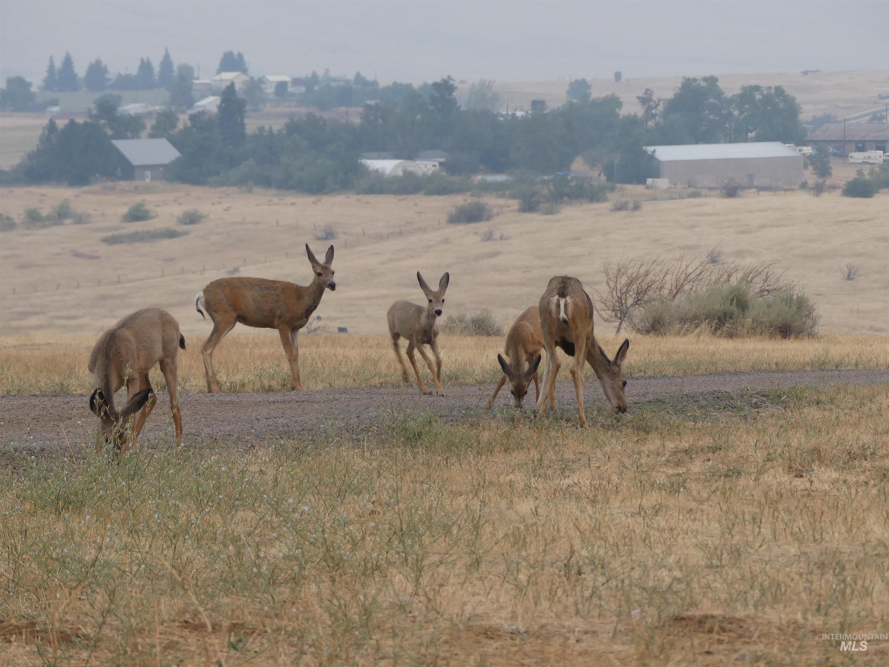 2193 Apple Lane, Mesa, Idaho 83643-5009, 2 Bedrooms, 2.5 Bathrooms, Farm & Ranch For Sale, Price $800,000, 98920964