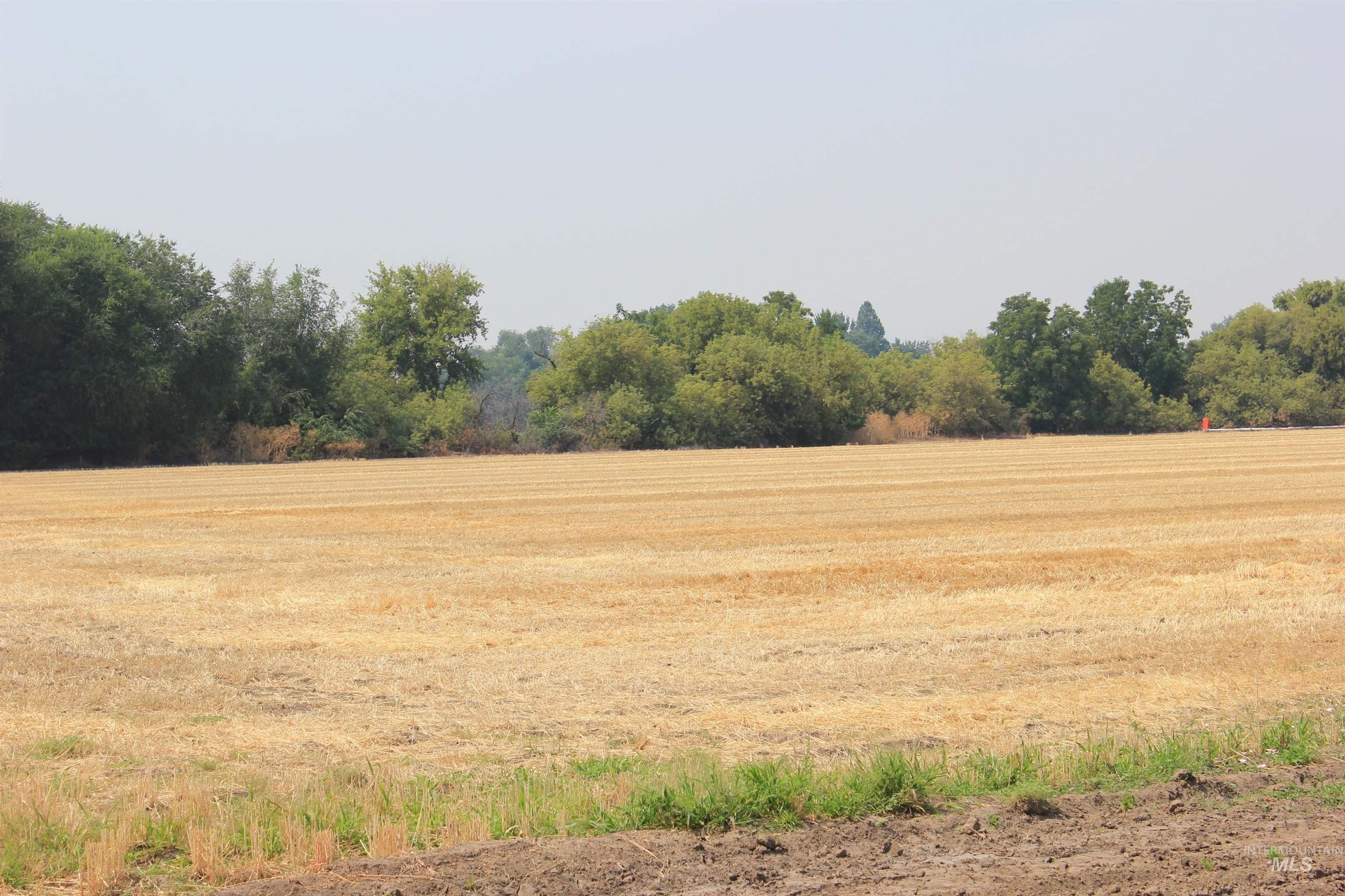 690 & 698 Hale Rd, Weiser, Idaho 83672, 4 Bedrooms, 1 Bathroom, Farm & Ranch For Sale, Price $1,600,000, 98921016