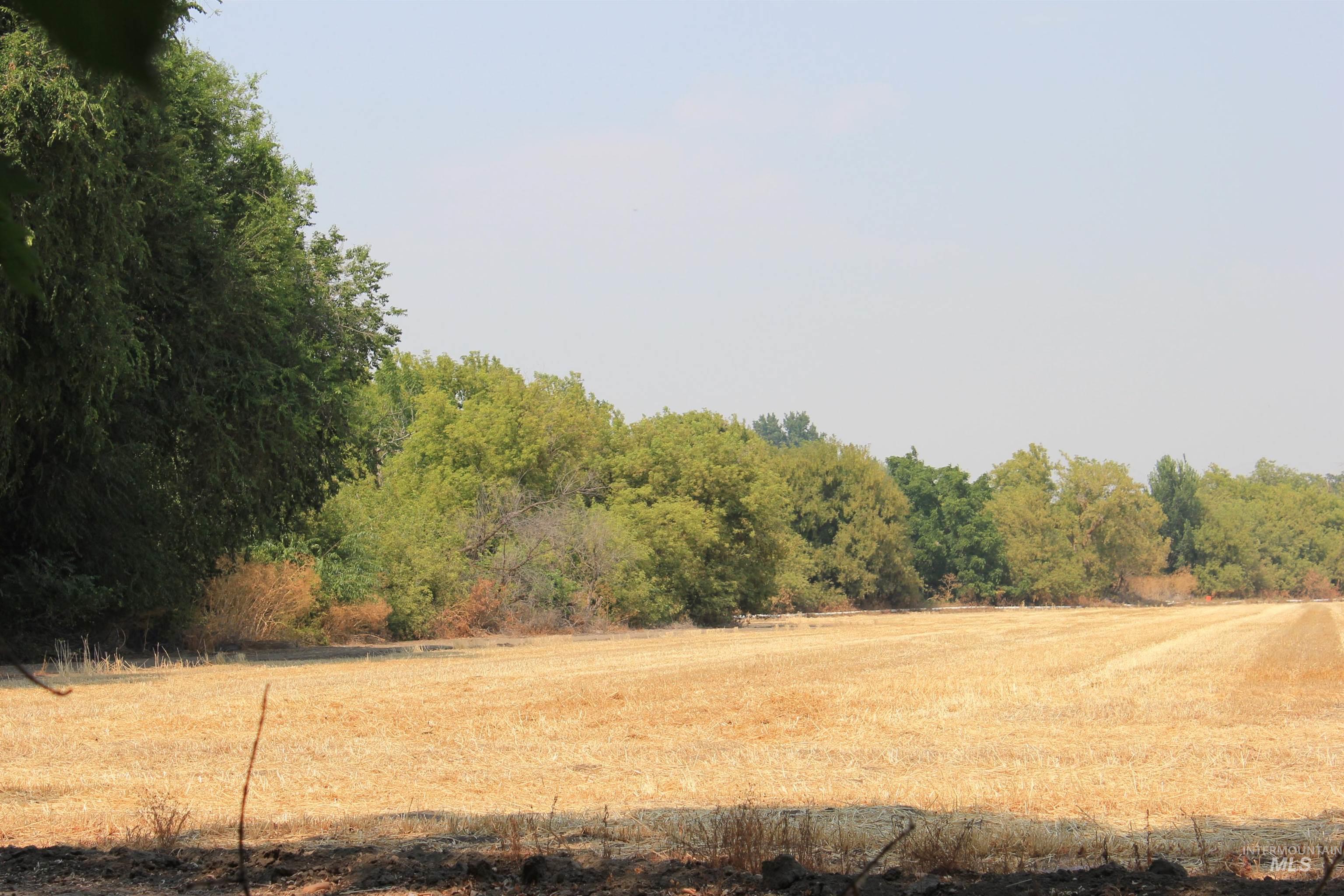 690 & 698 Hale Rd, Weiser, Idaho 83672, 4 Bedrooms, 1 Bathroom, Farm & Ranch For Sale, Price $1,600,000, 98921016
