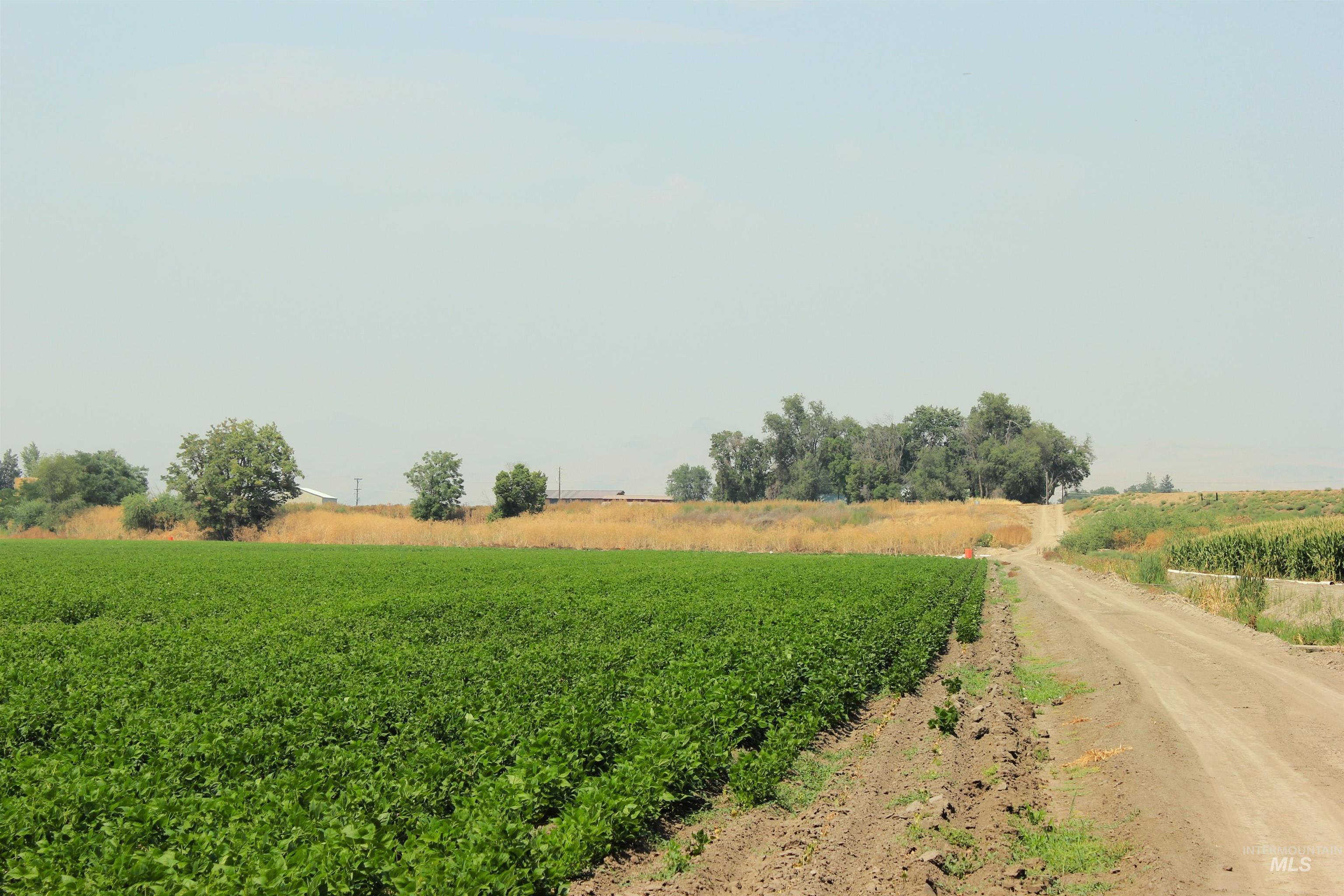 690 & 698 Hale Rd, Weiser, Idaho 83672, 4 Bedrooms, 1 Bathroom, Farm & Ranch For Sale, Price $1,600,000, 98921016