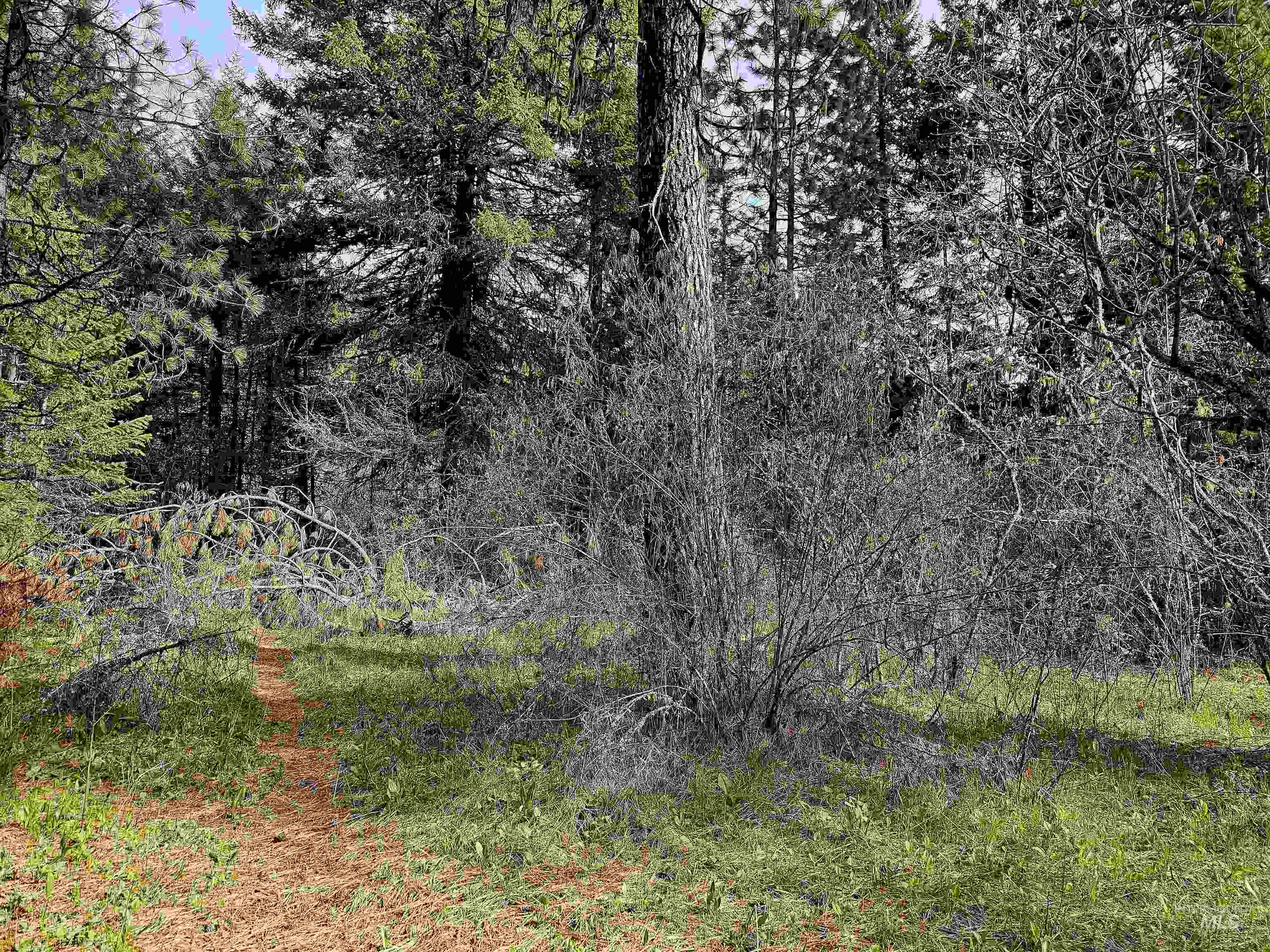 TBD TBD Red Willow Rd, Lots69, 70, 79, 80 Cedar Creek, Kendrick, Idaho 83537, Land For Sale, Price $410,000,MLS 98921100