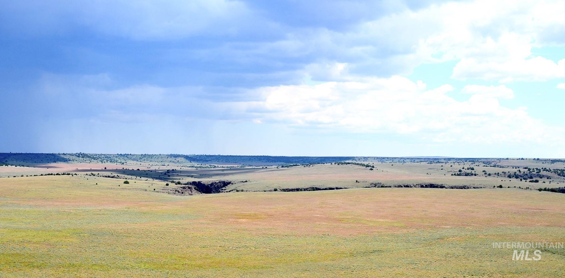 Mud Flat Road, Grand View, Idaho 83624, Farm & Ranch For Sale, Price $3,900,000, 98921103