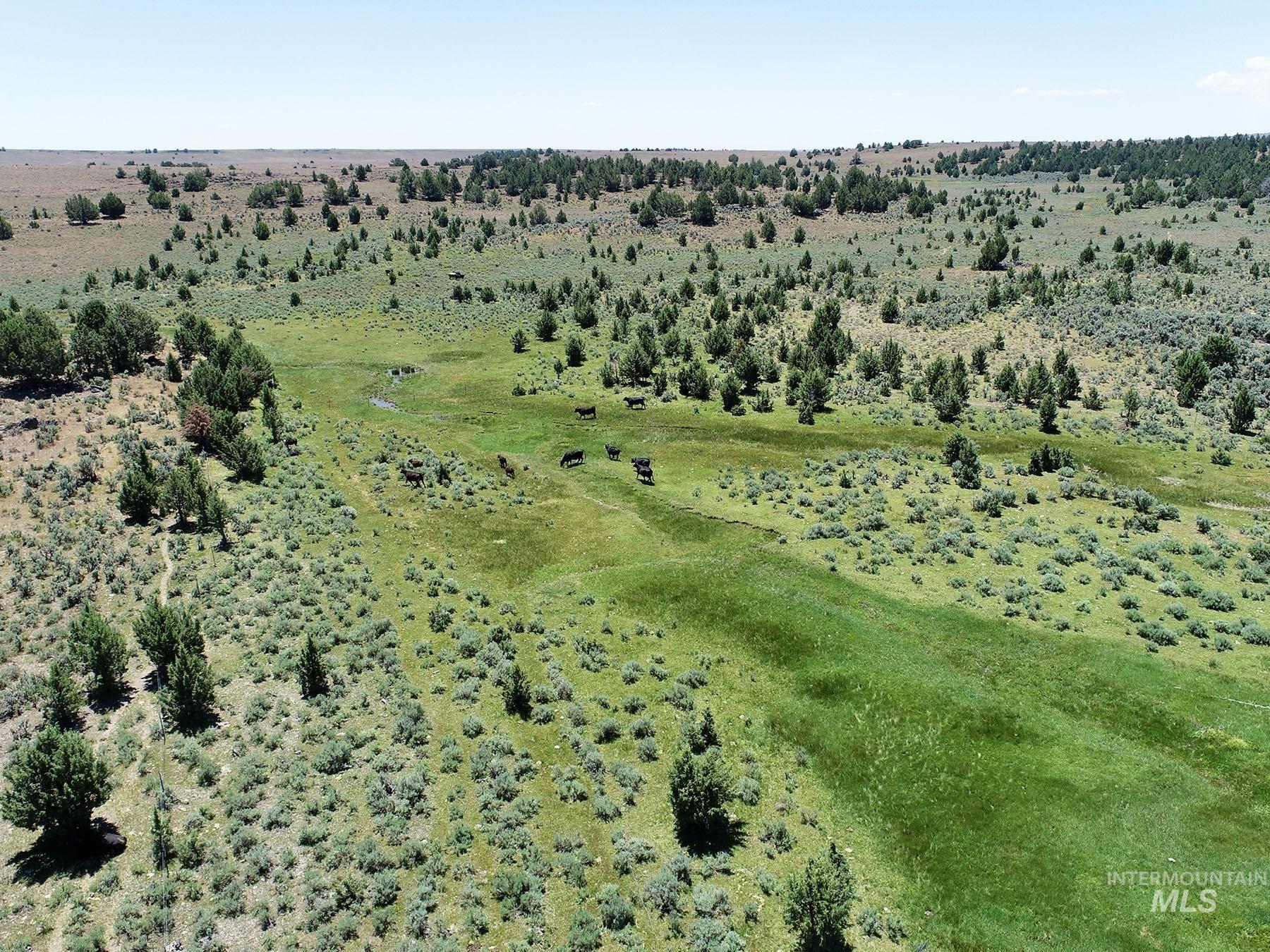Mud Flat Road, Grand View, Idaho 83624, Farm & Ranch For Sale, Price $3,900,000, 98921103