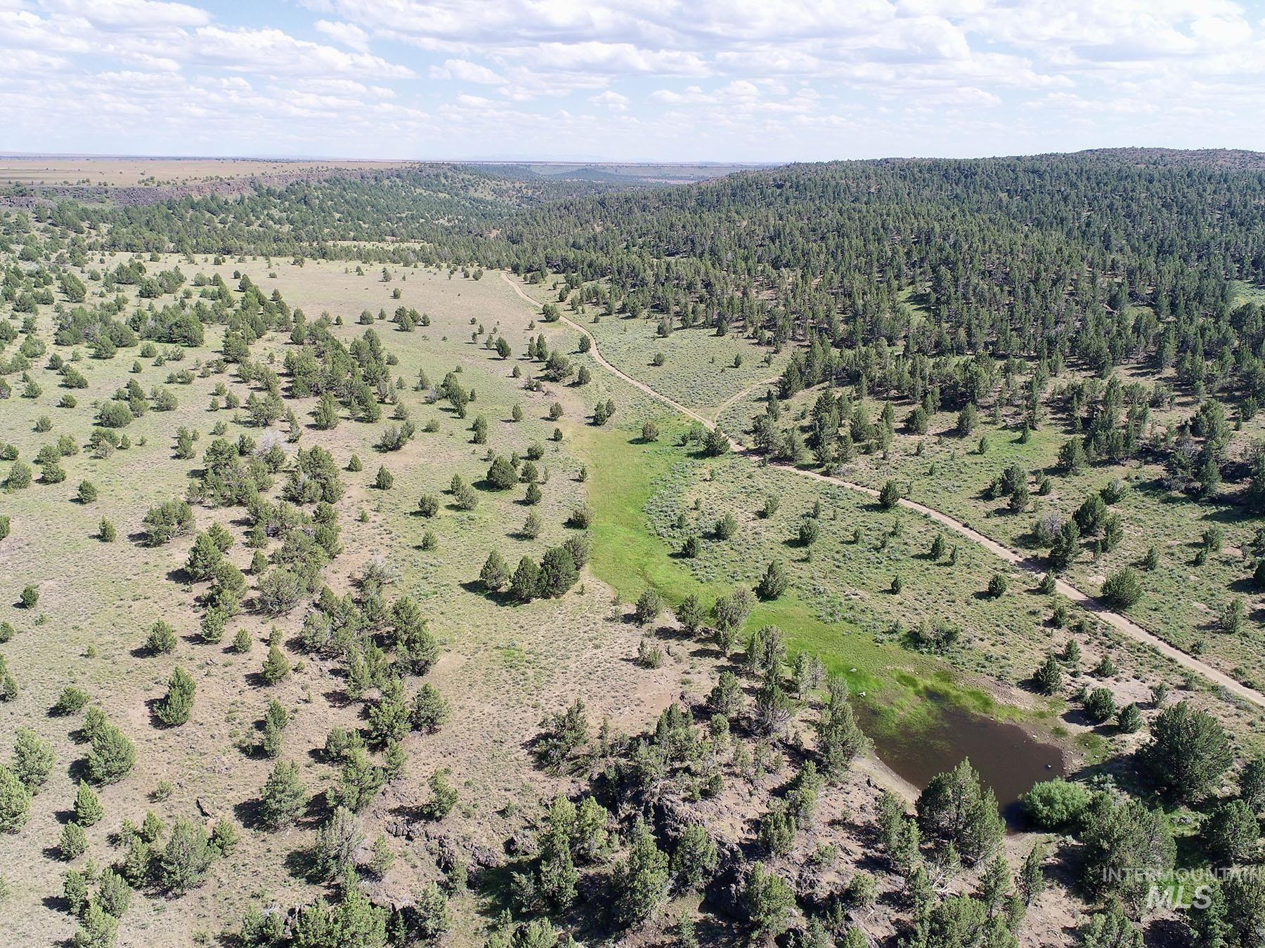 Mud Flat Road, Grand View, Idaho 83624, Farm & Ranch For Sale, Price $3,900,000, 98921103