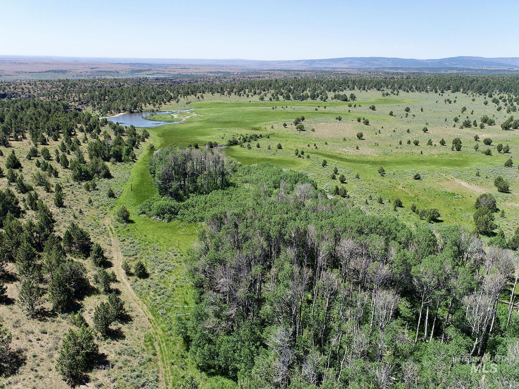 Mud Flat Road, Grand View, Idaho 83624, Farm & Ranch For Sale, Price $3,900,000, 98921103