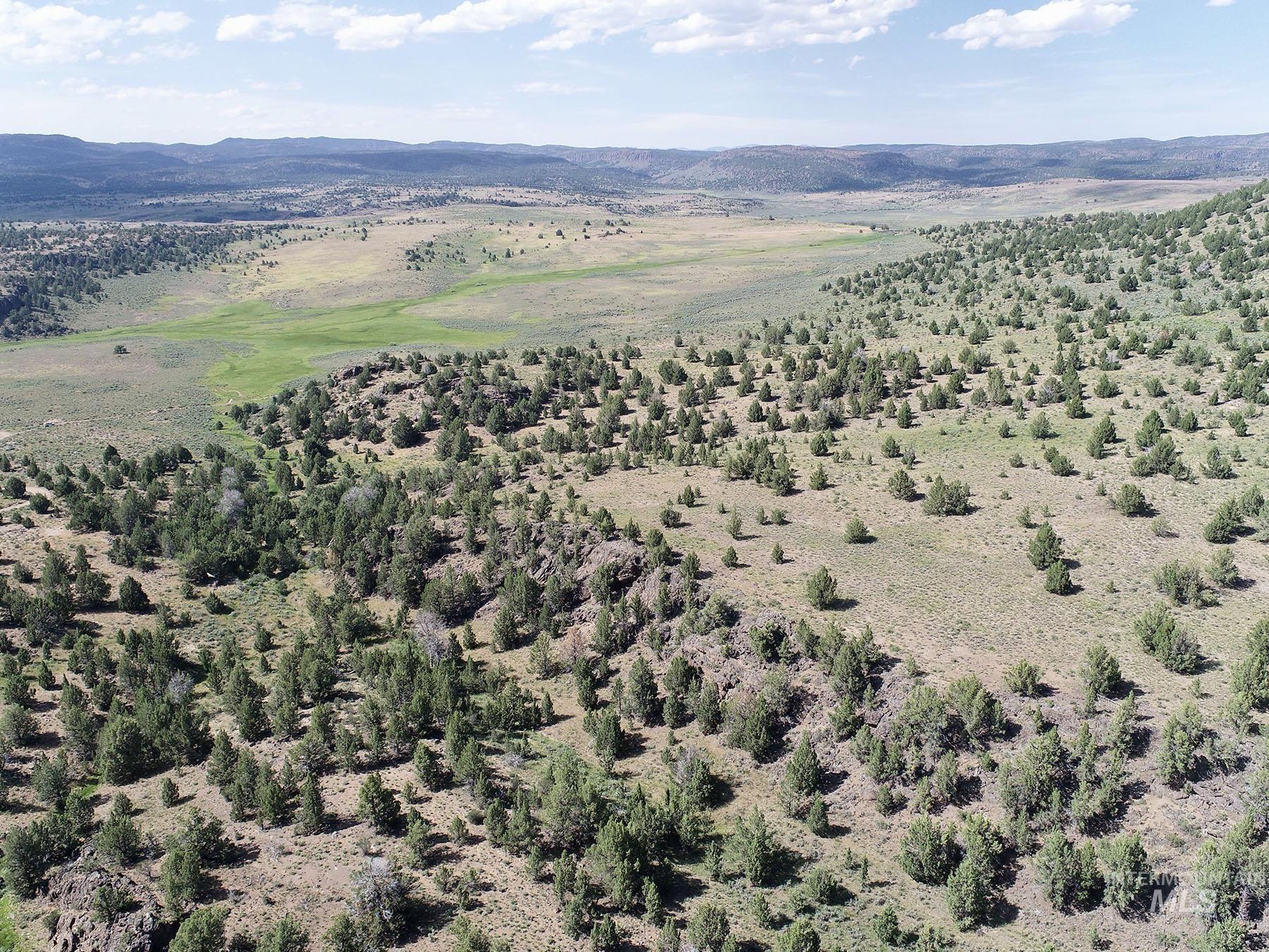 Mud Flat Road, Grand View, Idaho 83624, Farm & Ranch For Sale, Price $3,900,000, 98921103