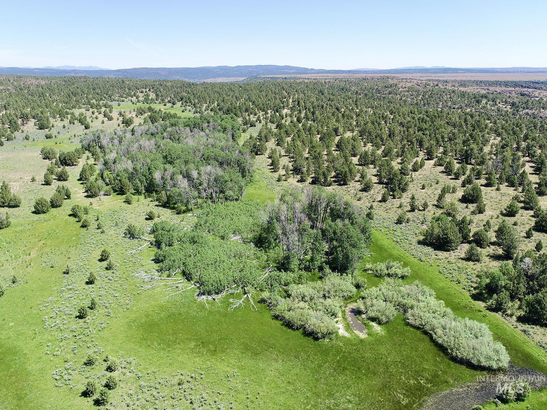 Mud Flat Road, Grand View, Idaho 83624, Farm & Ranch For Sale, Price $3,900,000, 98921103