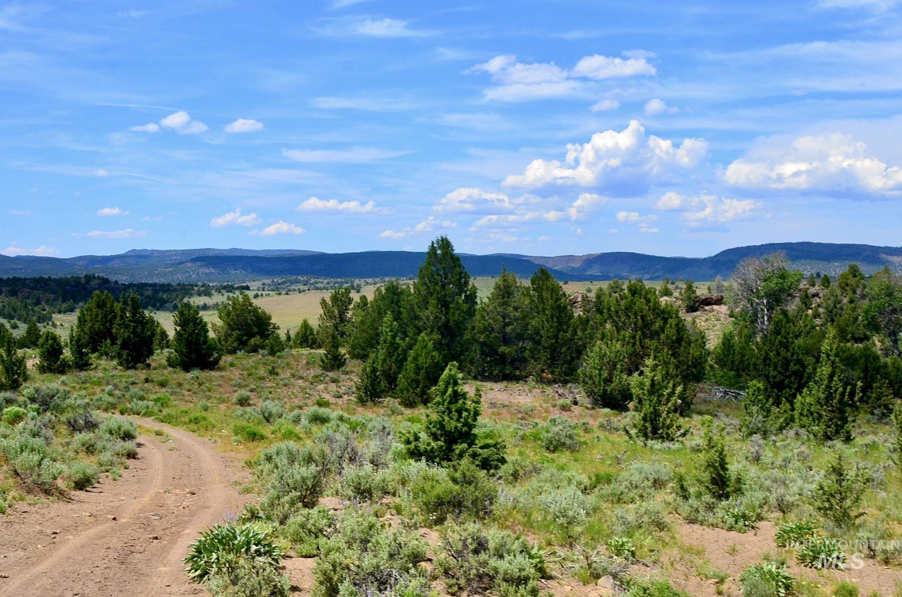 Mud Flat Road, Grand View, Idaho 83624, Farm & Ranch For Sale, Price $3,900,000, 98921103
